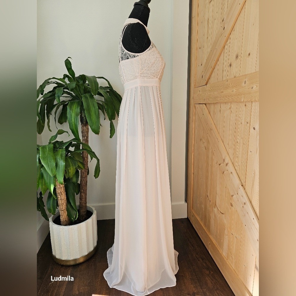 BCBGeneration Size 4 Woman’s Blush Pink With Lace Detail Long Dress