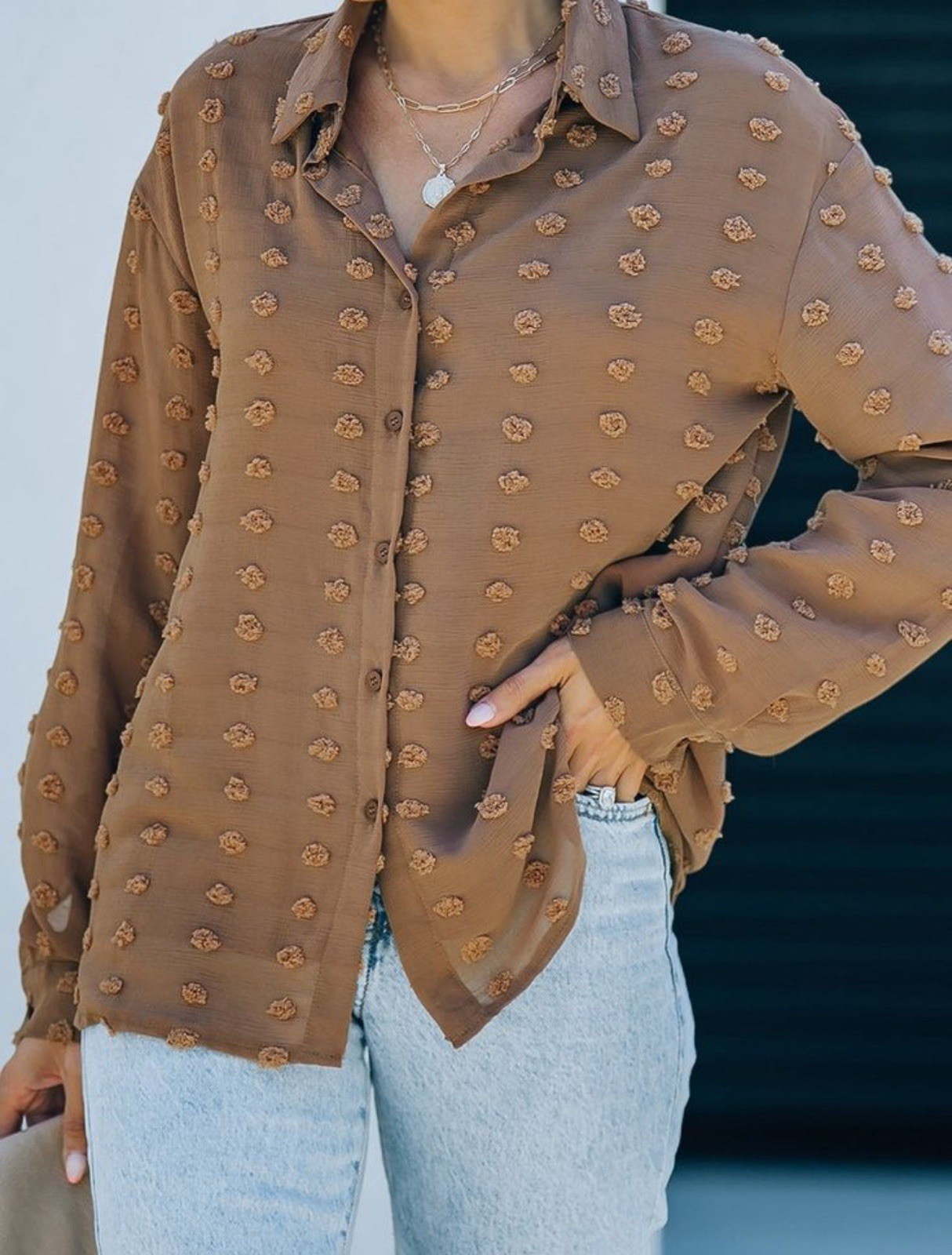 Brown Semi Sheer Swiss Dot Long Sleeve Button Up Boho Poly Collared Blouse Sz XL