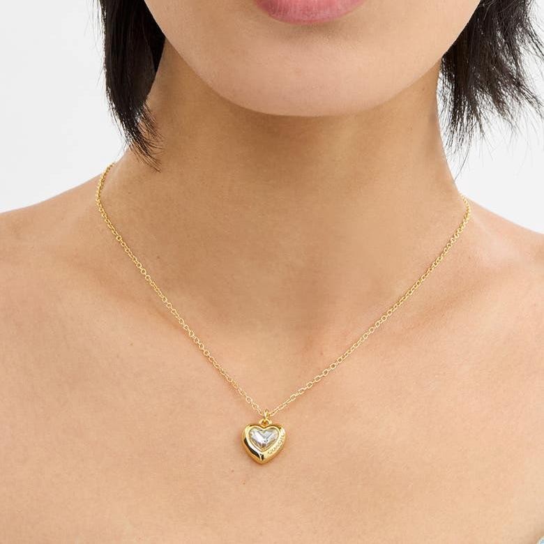 NWT Coach Stone Heart Necklace Clear Silver Tone