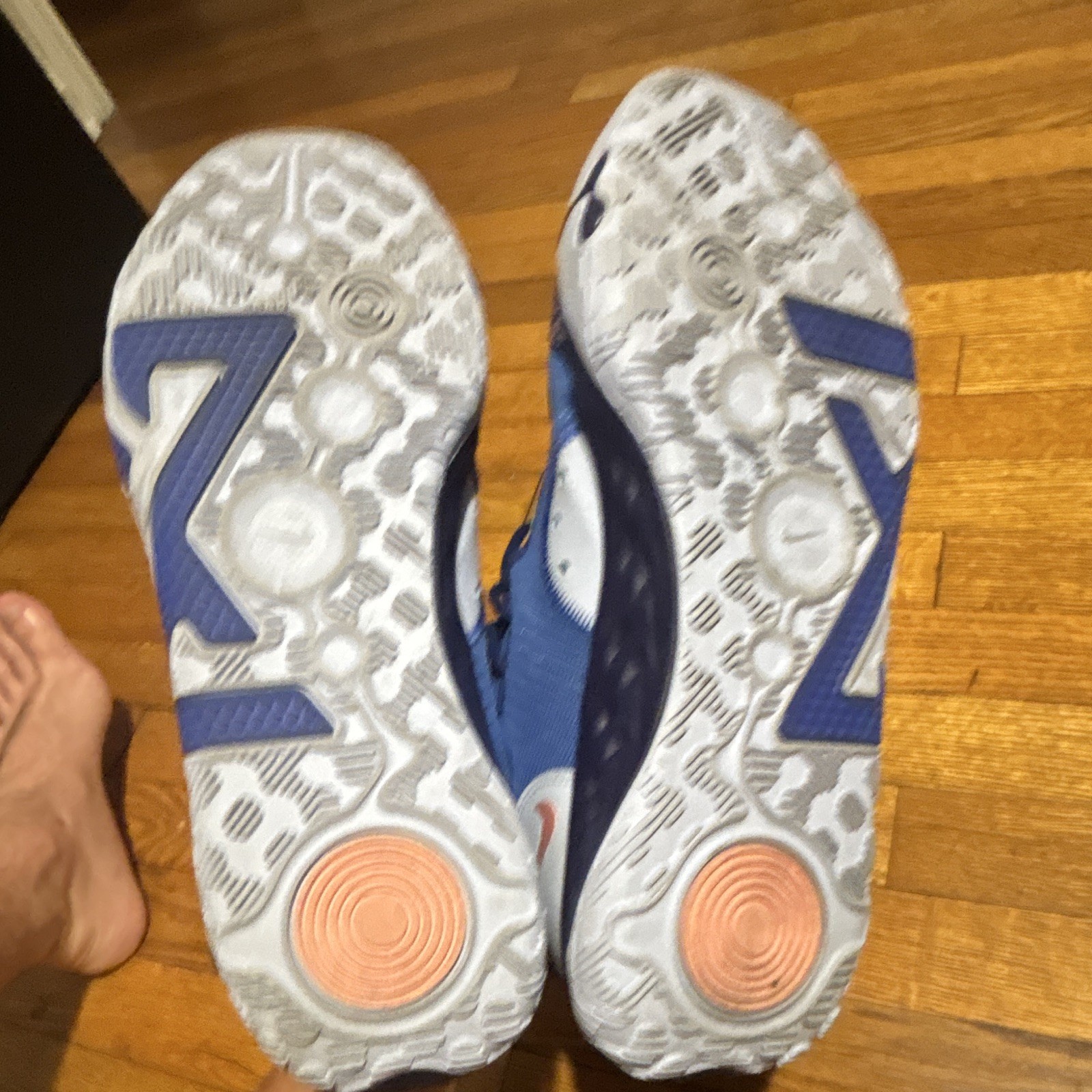Nike PG6 Blue Paisley Size 12.5