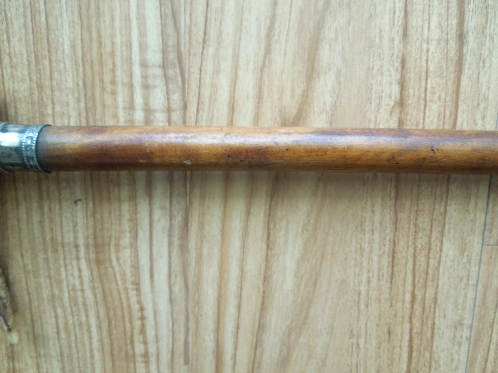 VINTAGE Antler Stag Horn Handle Cane Walking Stick Silver Collar 35″ length
