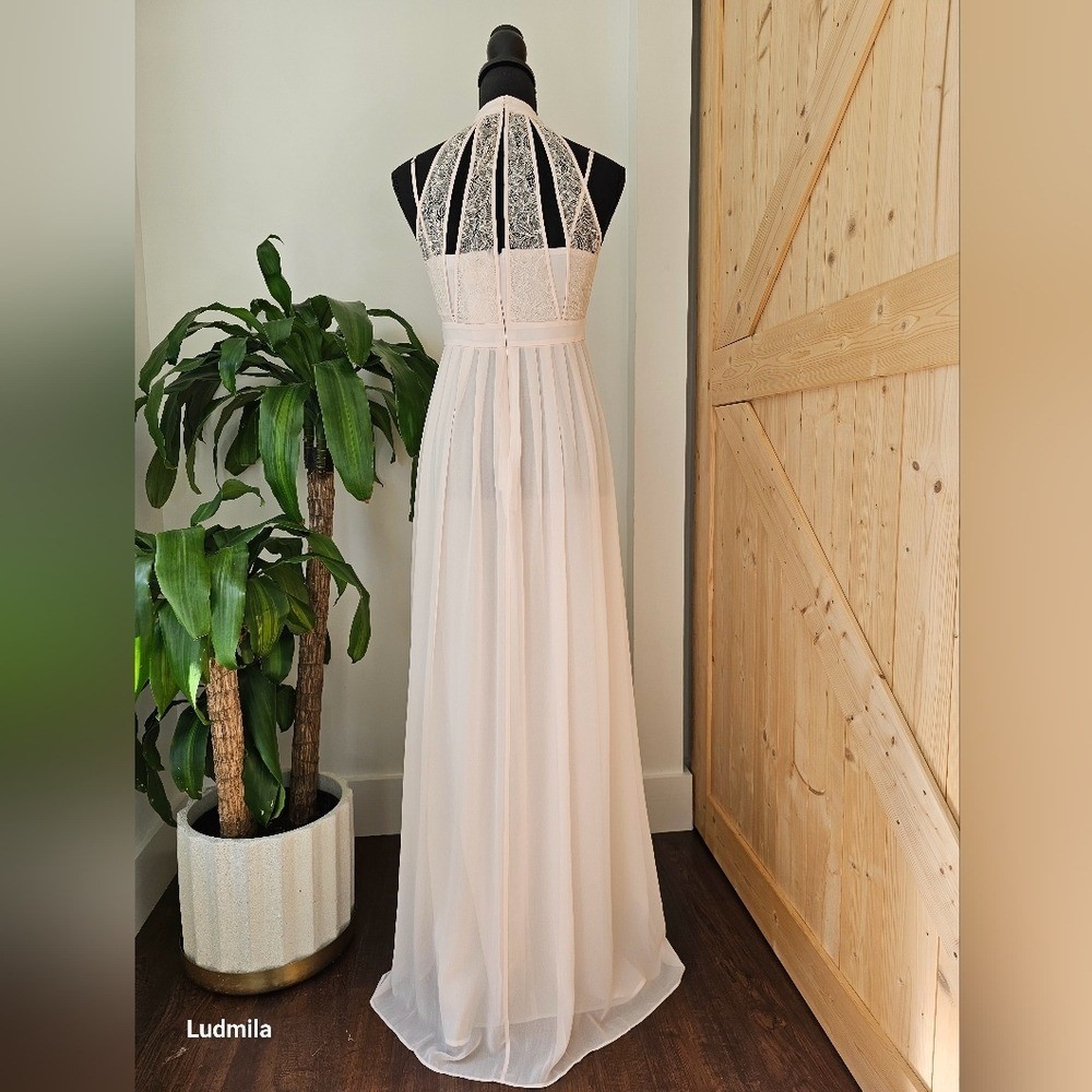 BCBGeneration Size 4 Woman’s Blush Pink With Lace Detail Long Dress