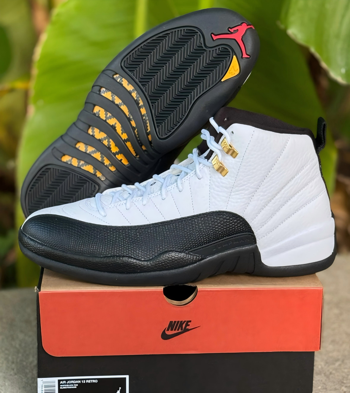 Jordan Air Jordan 12 Retro Taxi (2025) CT8013-117 Men’s Size Shoes Ship Now