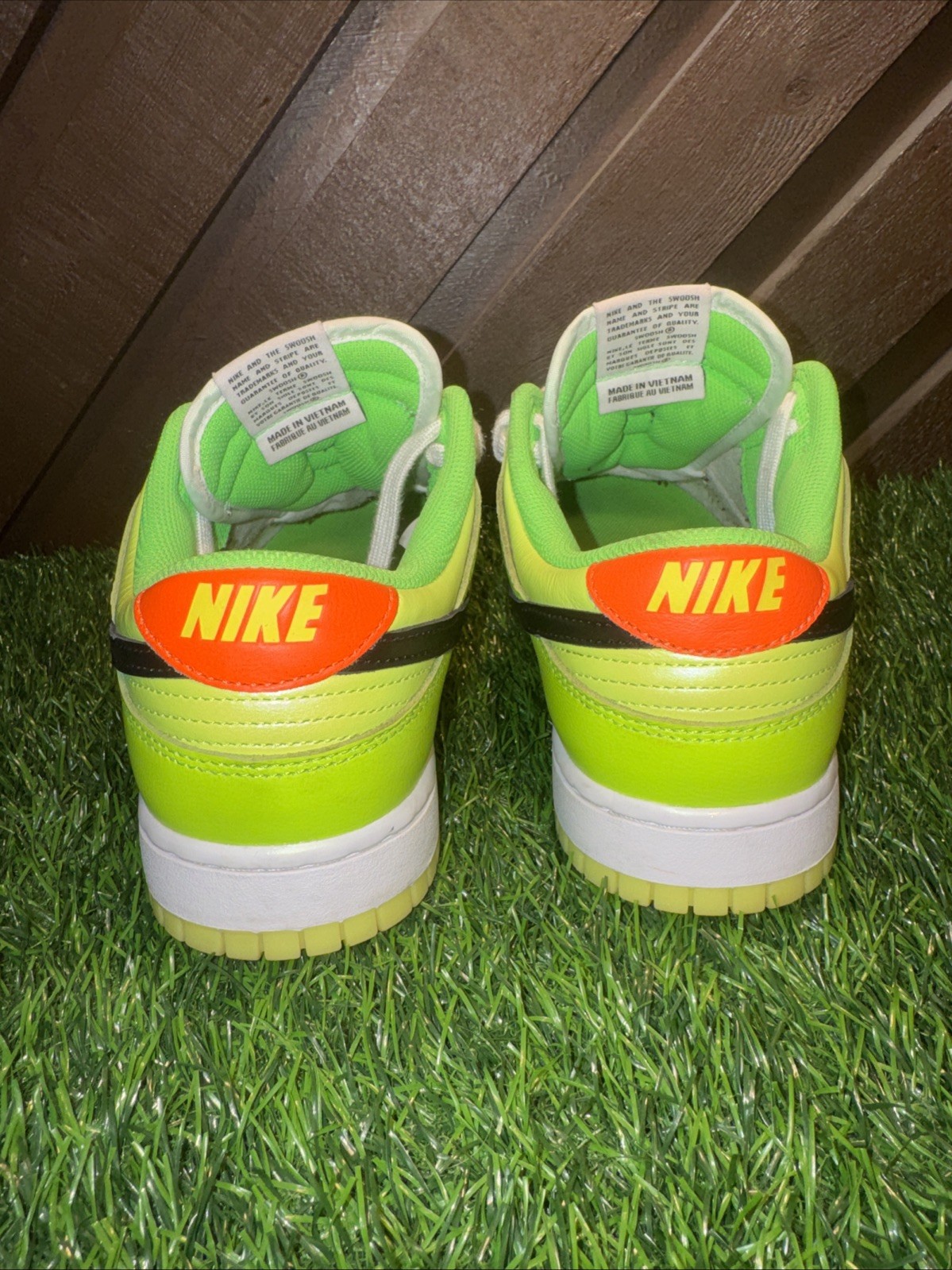 Size 10 – Nike Dunk SE Low Volt