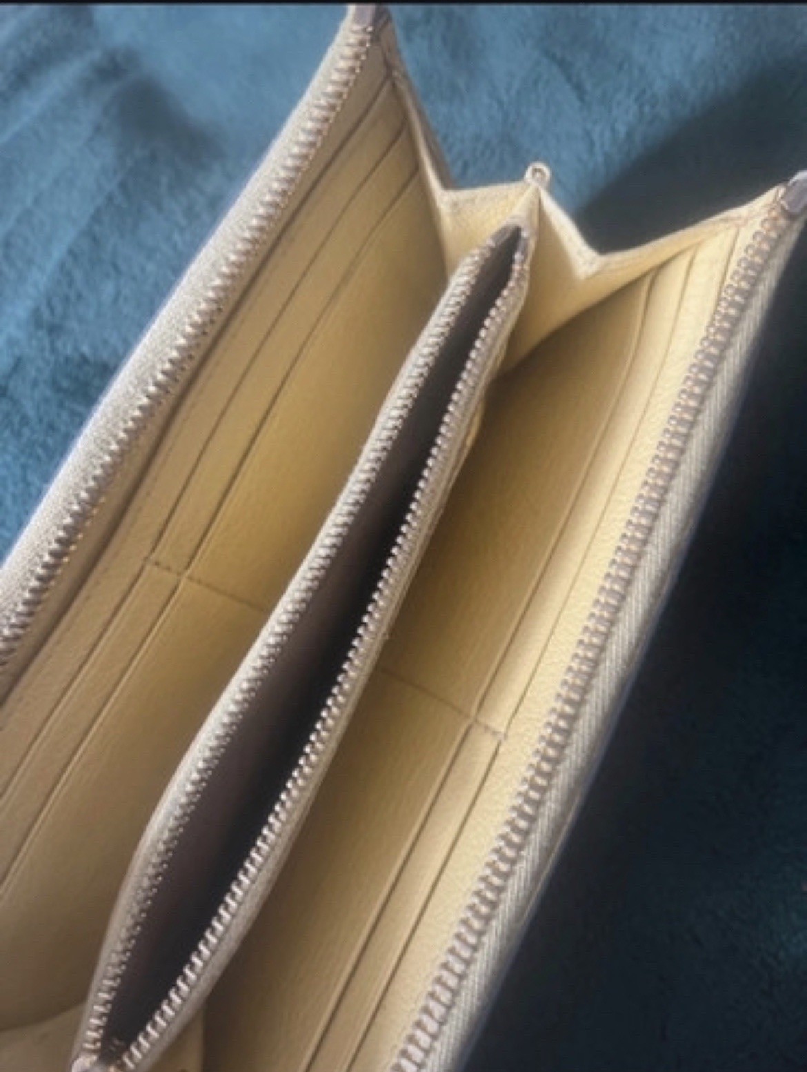 Miu Miu Wallet