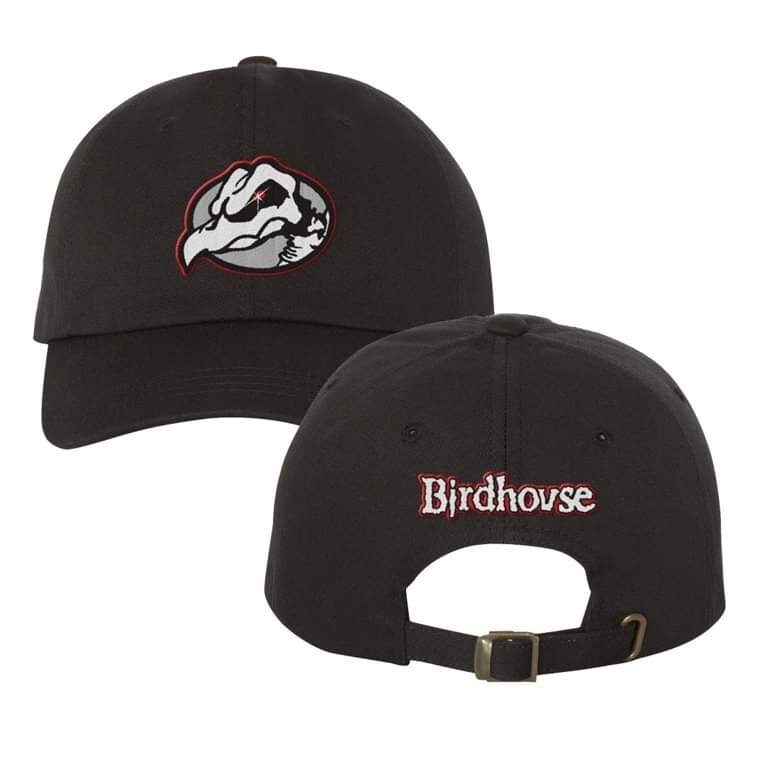 Fanmade Black Tony Hawk Birdhouse Skateboard Embroidered 90s Inspired Dad Hat
