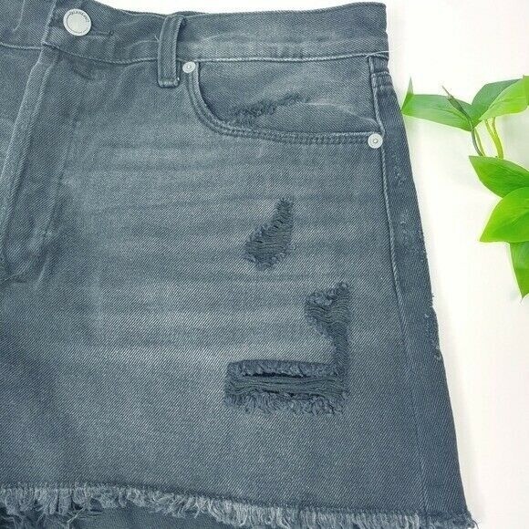 BlankNYC Denim Shorts Distressed Frayed Hem Black Washed WMS 32