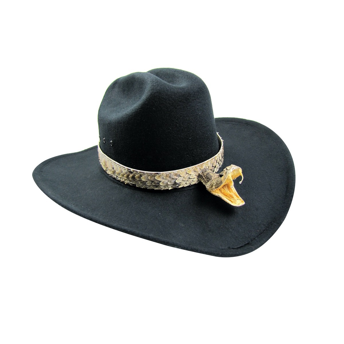 Real Rattlesnake Head Skin Western Cowboy Hat Band Wrap Genuine Snake Taxidermy