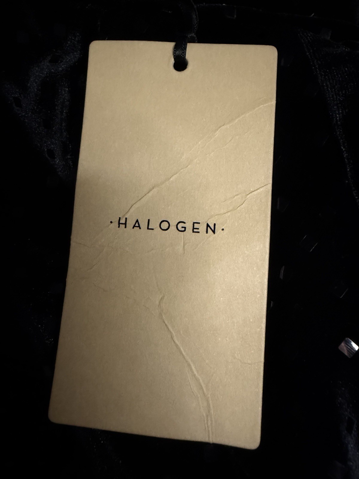 Halogen Black Metallic Velvet Deep V Sleeveless Blouse Medium