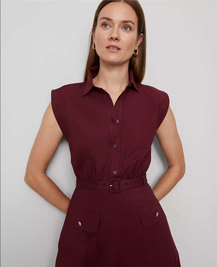 ANN TAYLOR $179 NIGHT SKY BELTED FLARE MIDI SHIRTDRESS DRESS SZ 10P 10 PETITE