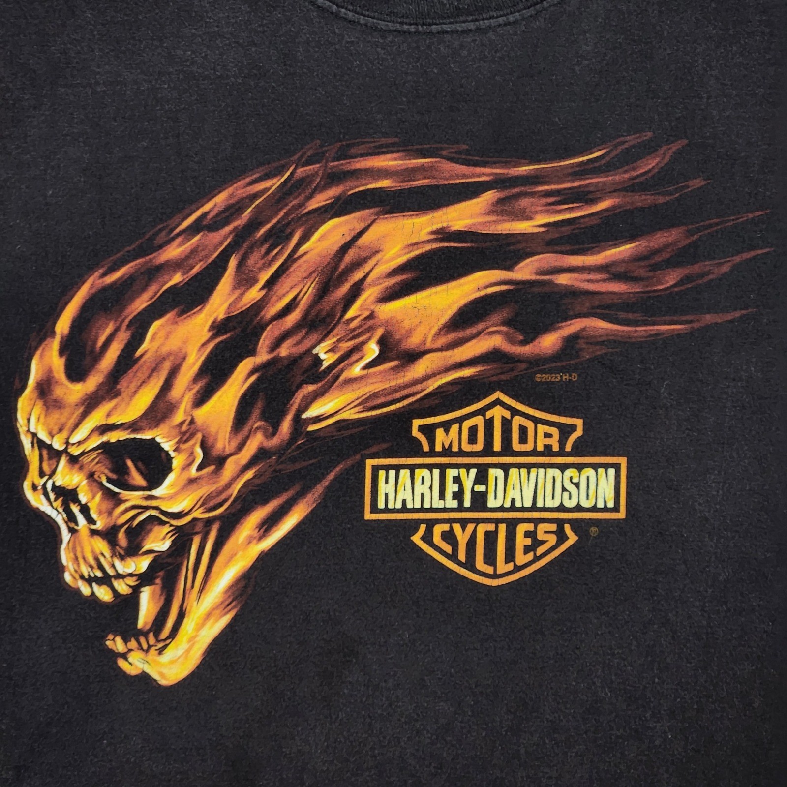 Harley Davidson Graphic Shirt Mens XL Black Flaming Skull High Country Wyoming