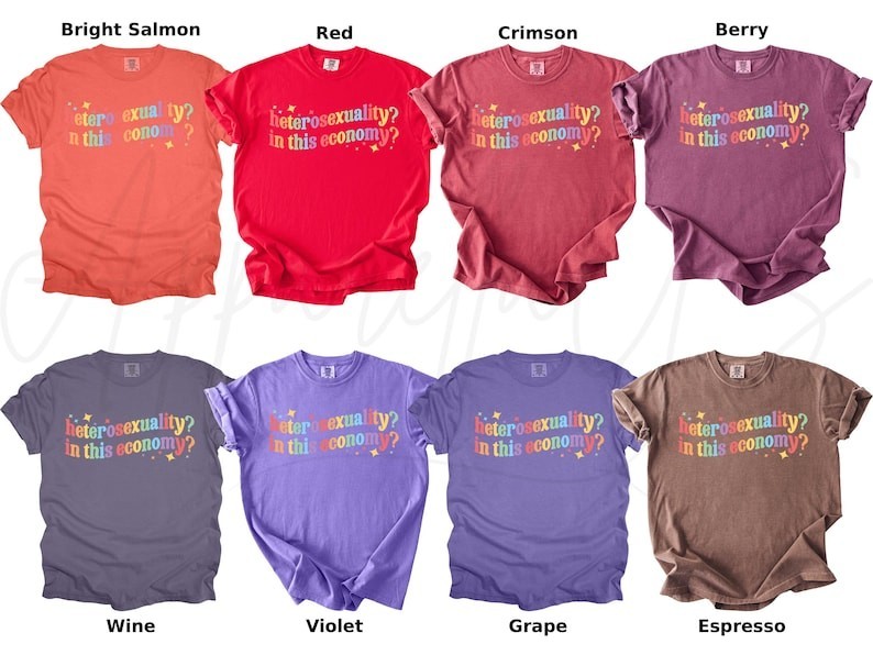 Comfort Colors Heterosexuality Shirt, In This Economy Shirt, Pride Gift Shirt