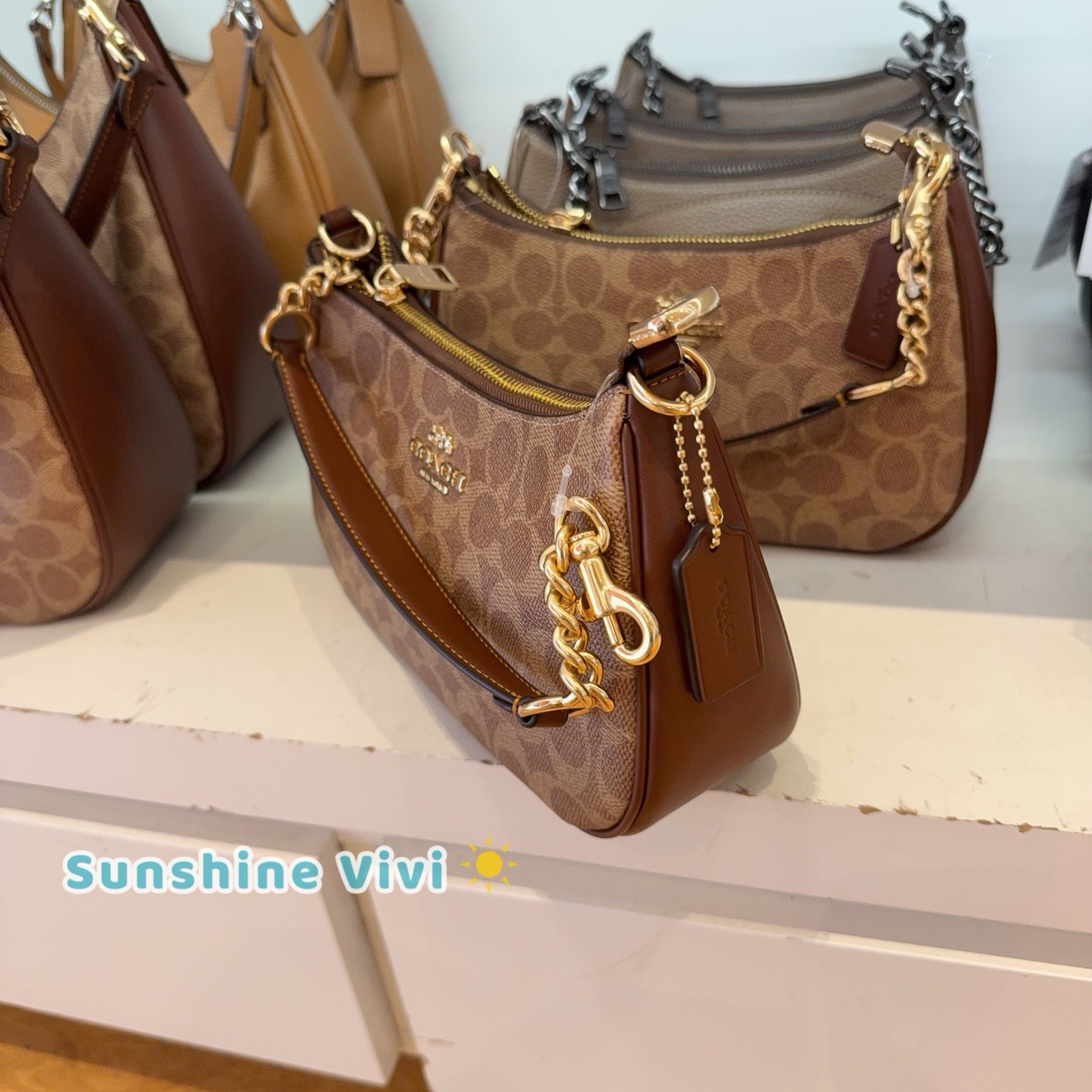 NWT Bundle Coach Teri Shoulder Bag CV933 & CW854 Wristlet & CW870 ID Case BROWN