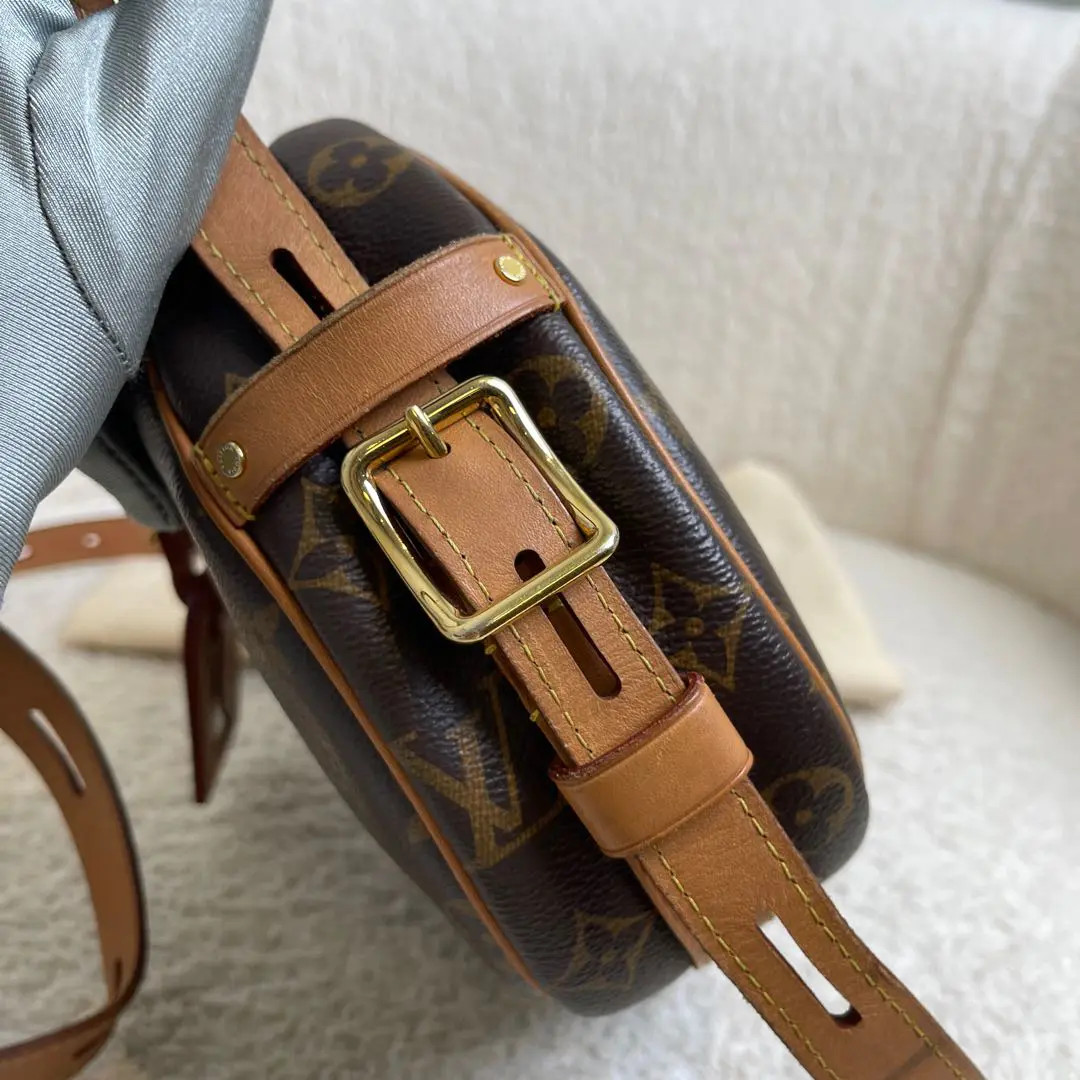 Louis Vuitton Large Soft Round Monogram Bag