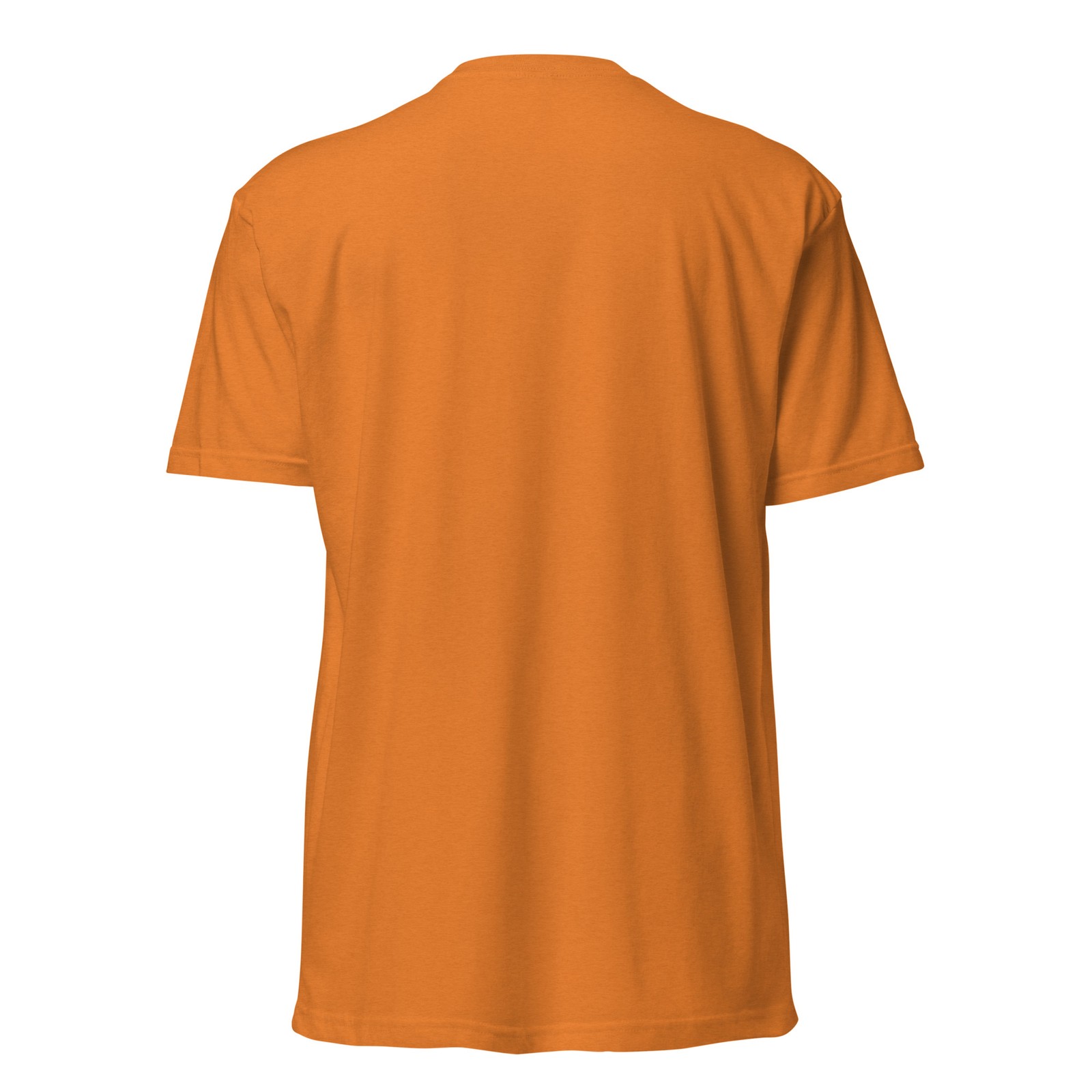 Unisex Fitted T-Shirt – Next Level 6210