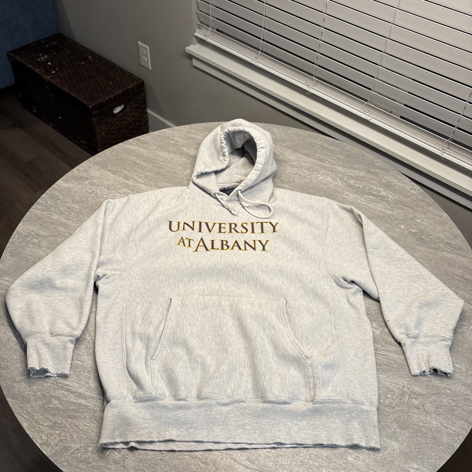 Vintage Champion University at Albany Reverse Weave Hoodie Large Distressed
