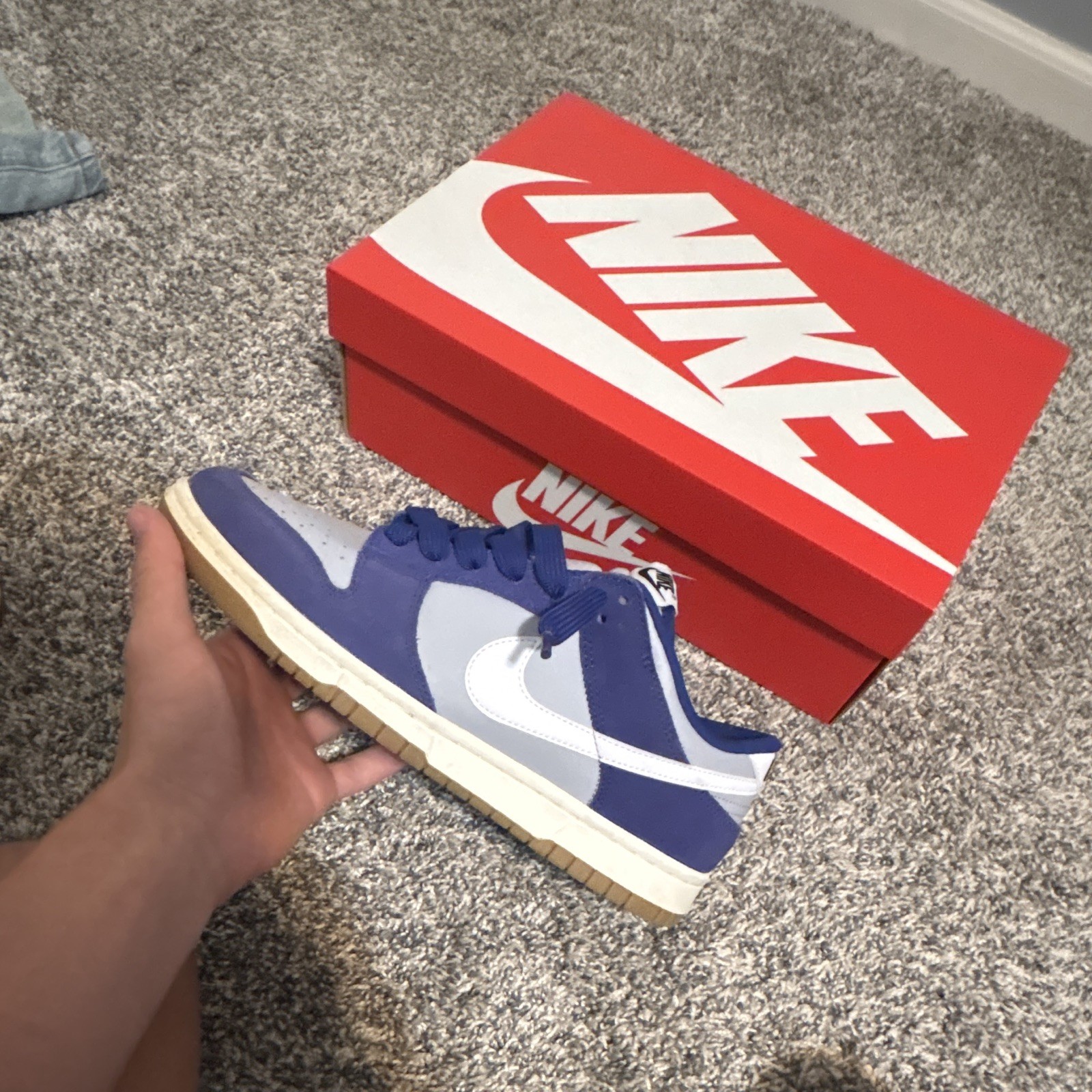 Nike Dunk Men’s Blue/Gray/White Colorblock Low Top Lace-Up Sneakers Gum