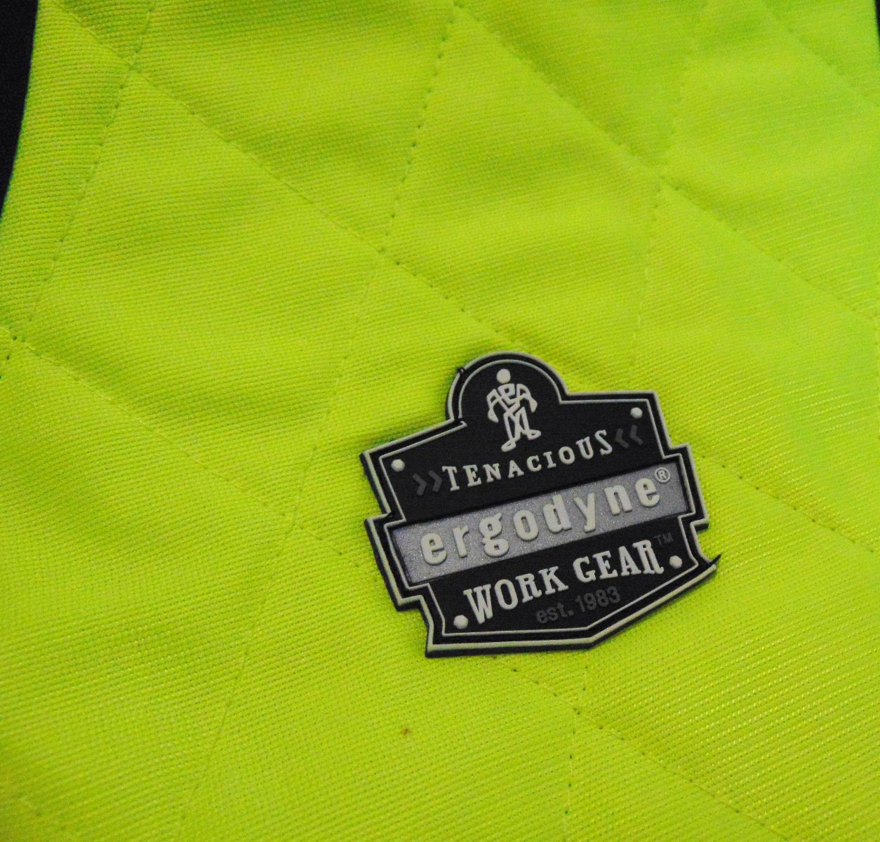 CHILL-ITS enanscious ergodyne 6665 Evaporative Cooling Vest Lime,black~XL