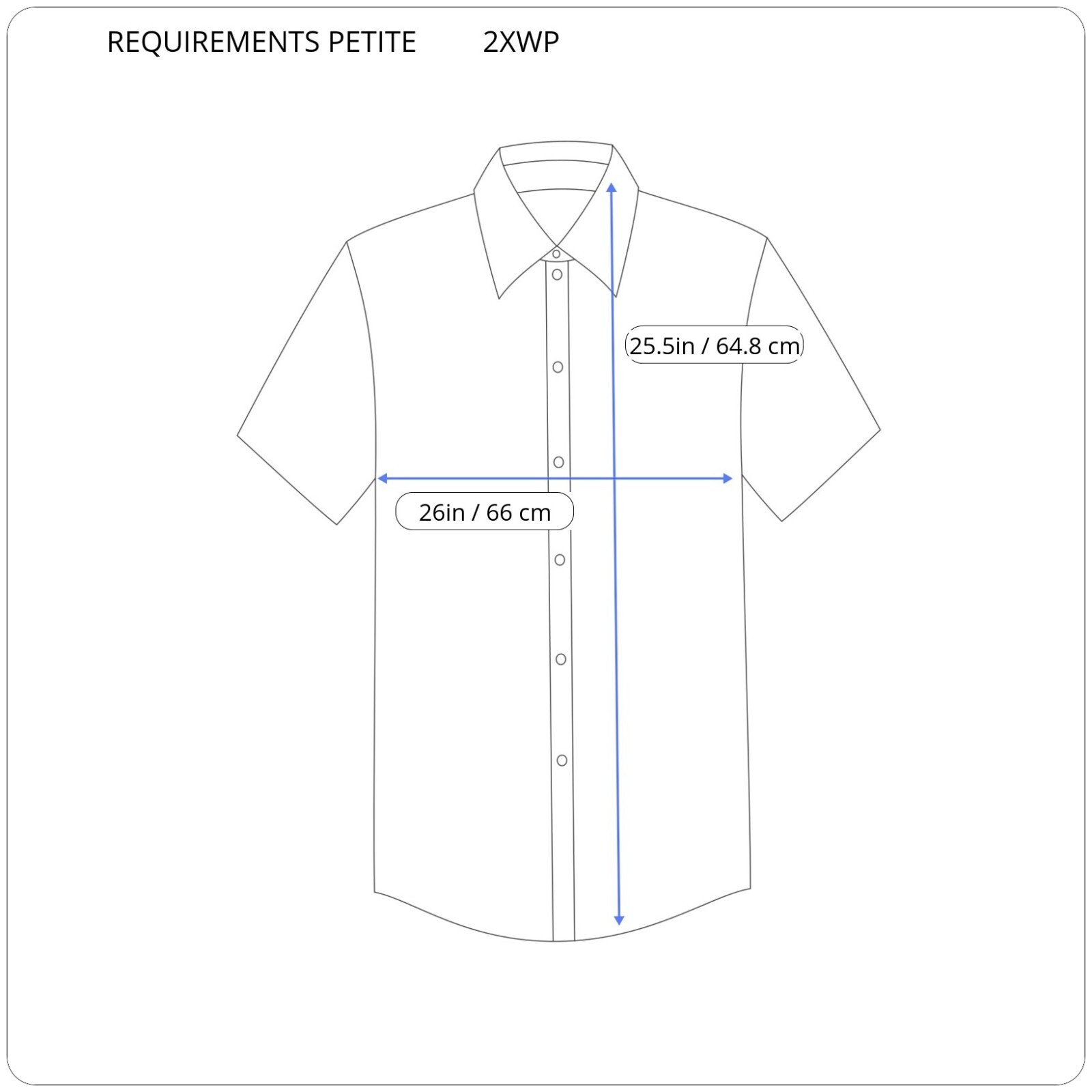 Requirements Petite 2XWP Shirt Blouse Beaded Embroidered Linen Rayon Roll Tab