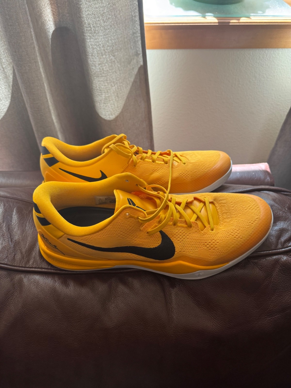 kobe 8 university gold size 16