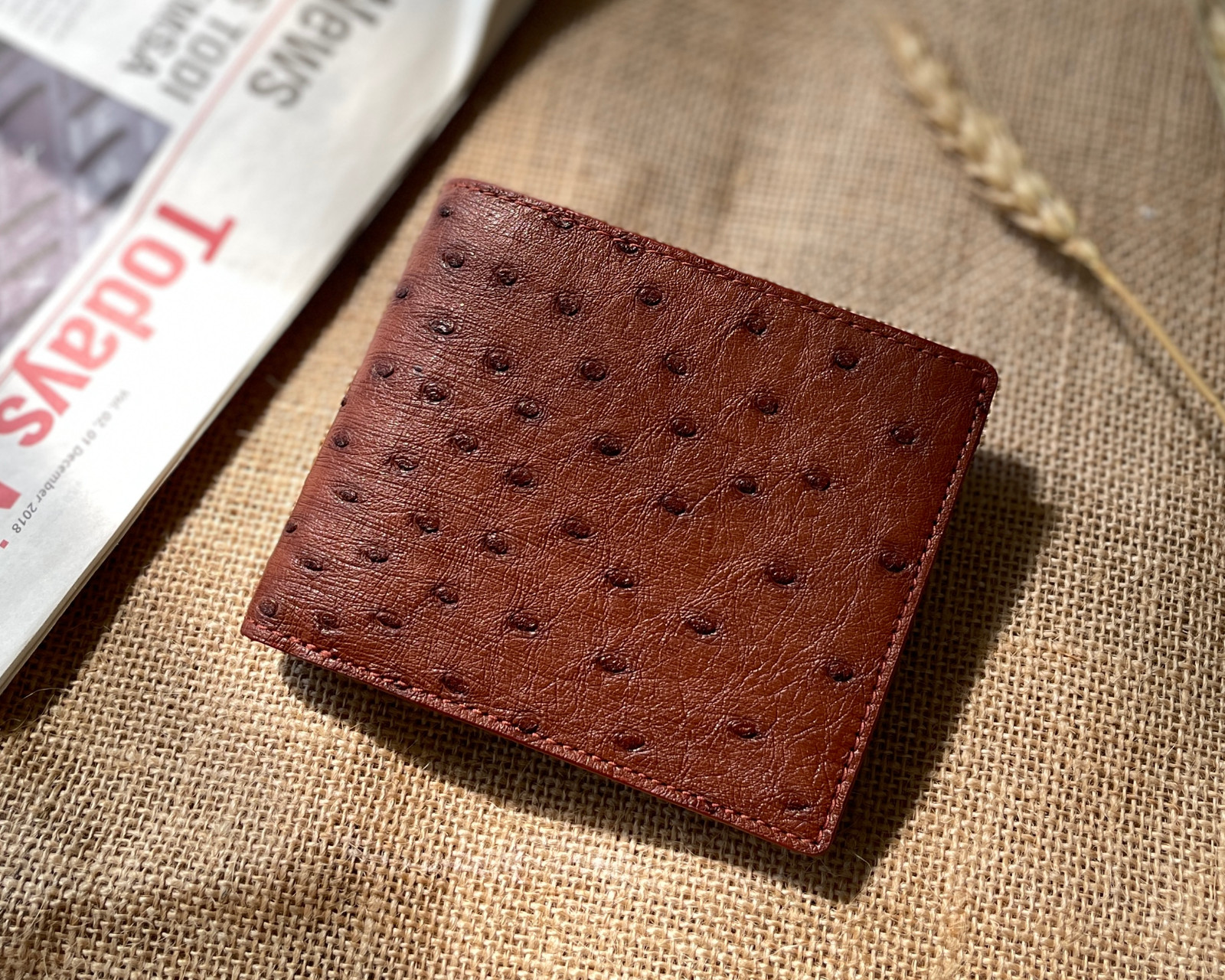 Real Ostrich Leather Brown Bifold Wallet Men’s Skin Wallet Father’s Day