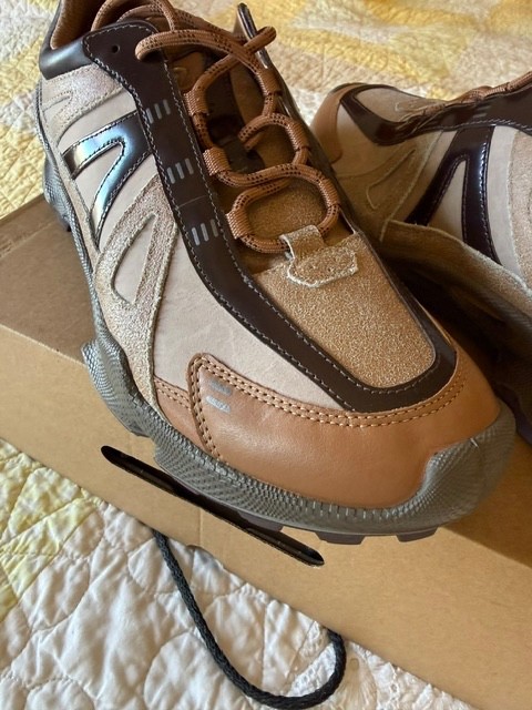 ECCO Biom C-Trail M GTX Leather Hiking Comfort Shoes, Size 11-11.5 EU 45 US