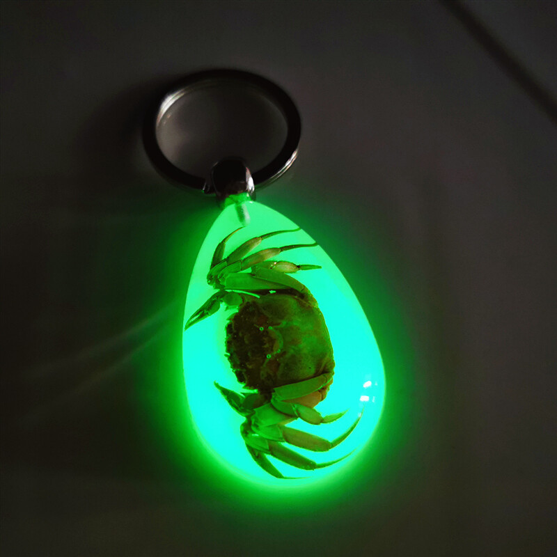 Luminous key chain amber insect ornament holiday gift crab seahorse ant flower