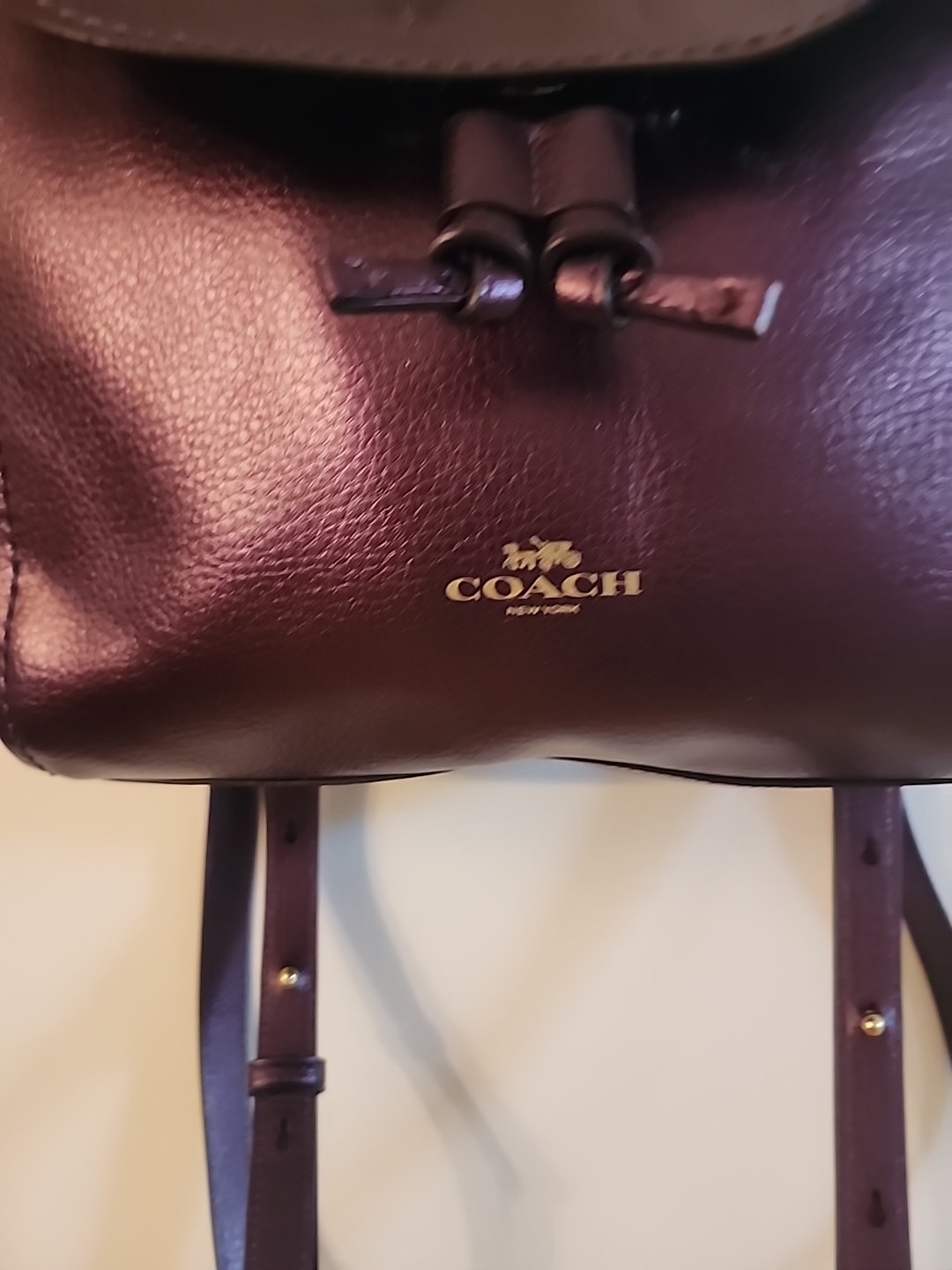 Coach Derby Metallic Eggplant Purple Leather Backpack EUC