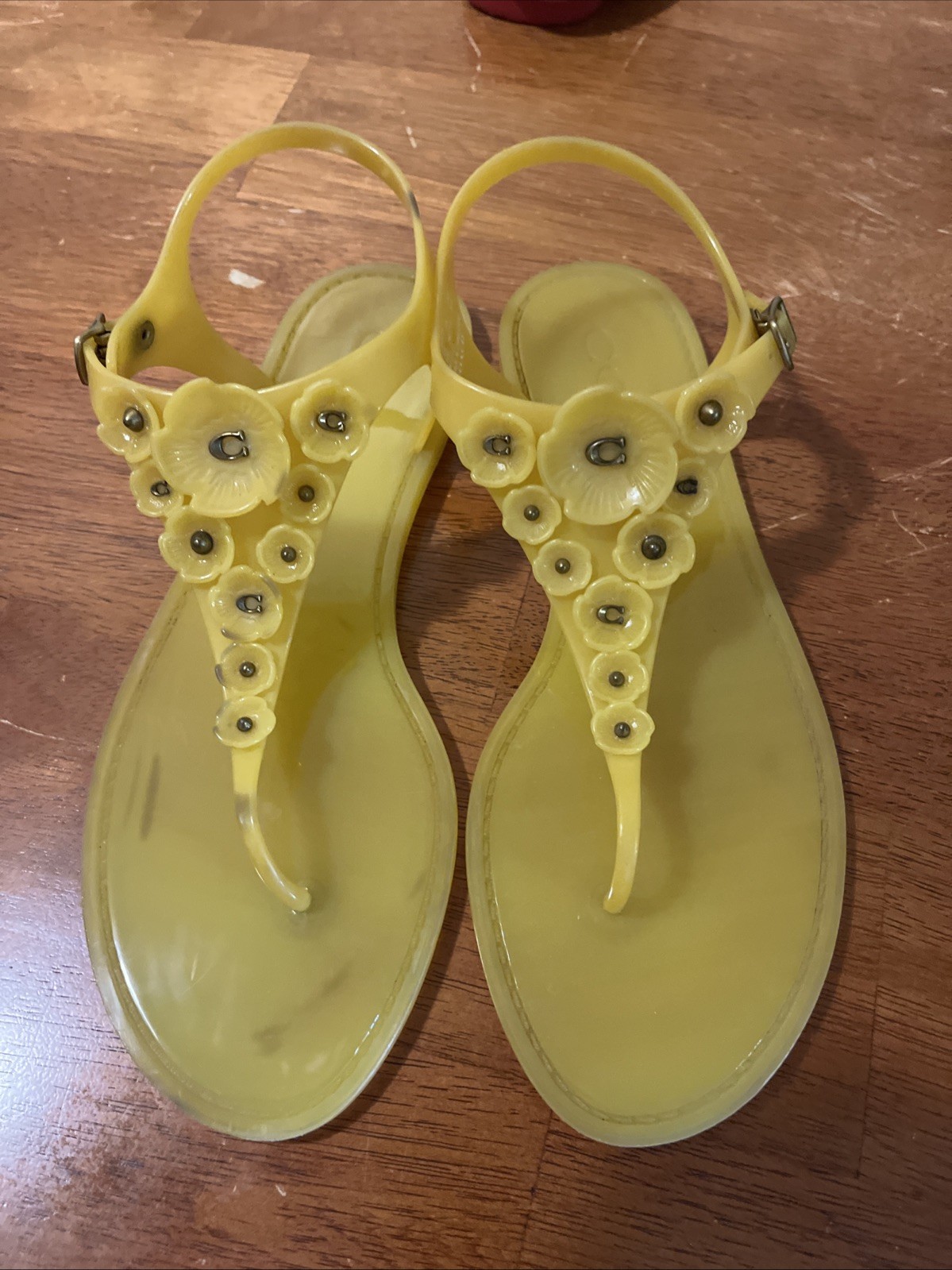 Coach Tea Rose Jelly Sandals Canaro Size 10