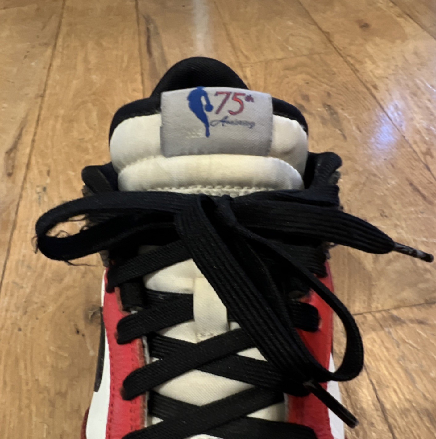 Nike Dunk Low EMB x NBA 75th Anniversary Bulls DD3363-100