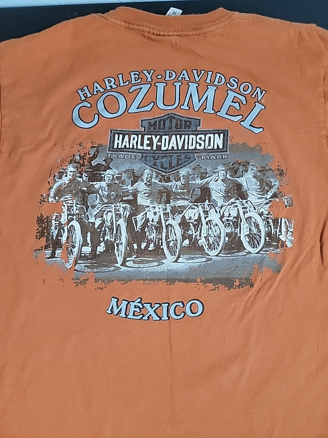 Harley Davidson Cozumel Mens T Shirt Short Sleeve Burnt Orange Sz Med