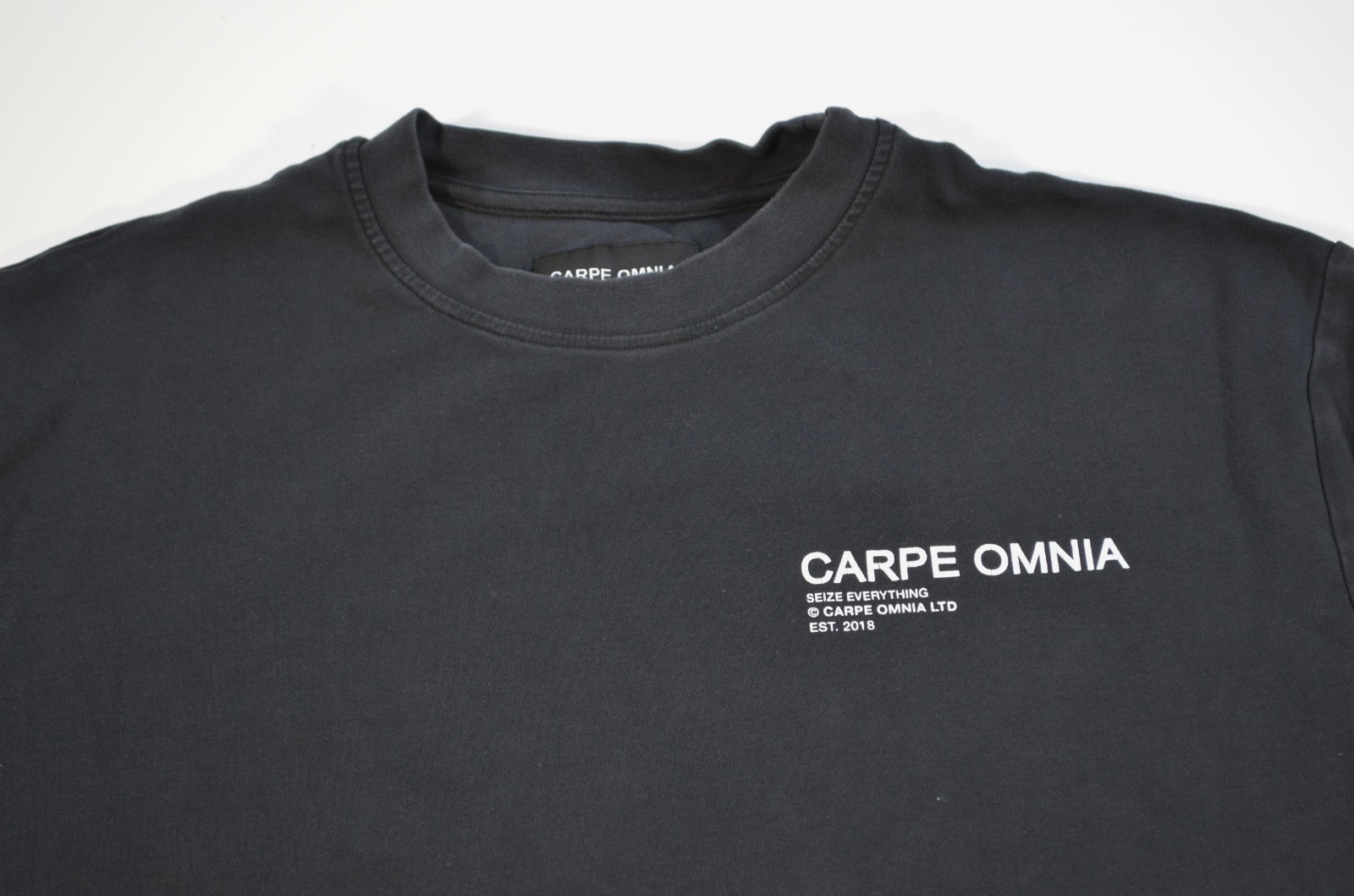 Carpe Omnia Men’s Short Sleeve Cotton T Shirt Seize Everything Medium 2018
