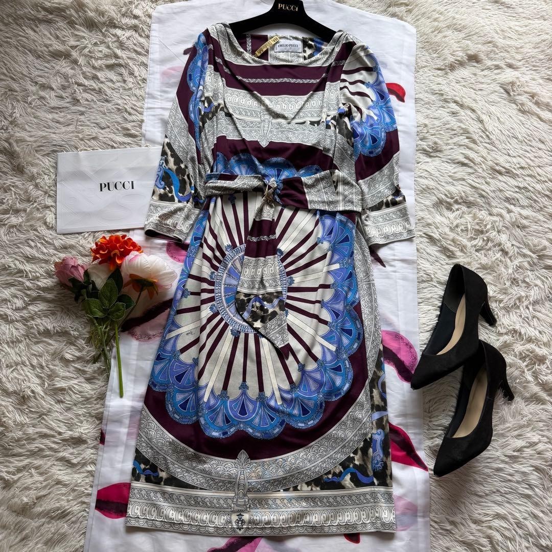 Emilio Pucci Silk Print Dress Gray Brown Purple Belted Long Dress Size IT42