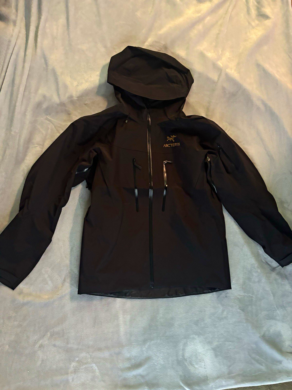 Arc’teryx Men’s Size L Black Hooded Zip Jacket Stand-Up Collar Nylon GORE-TEX