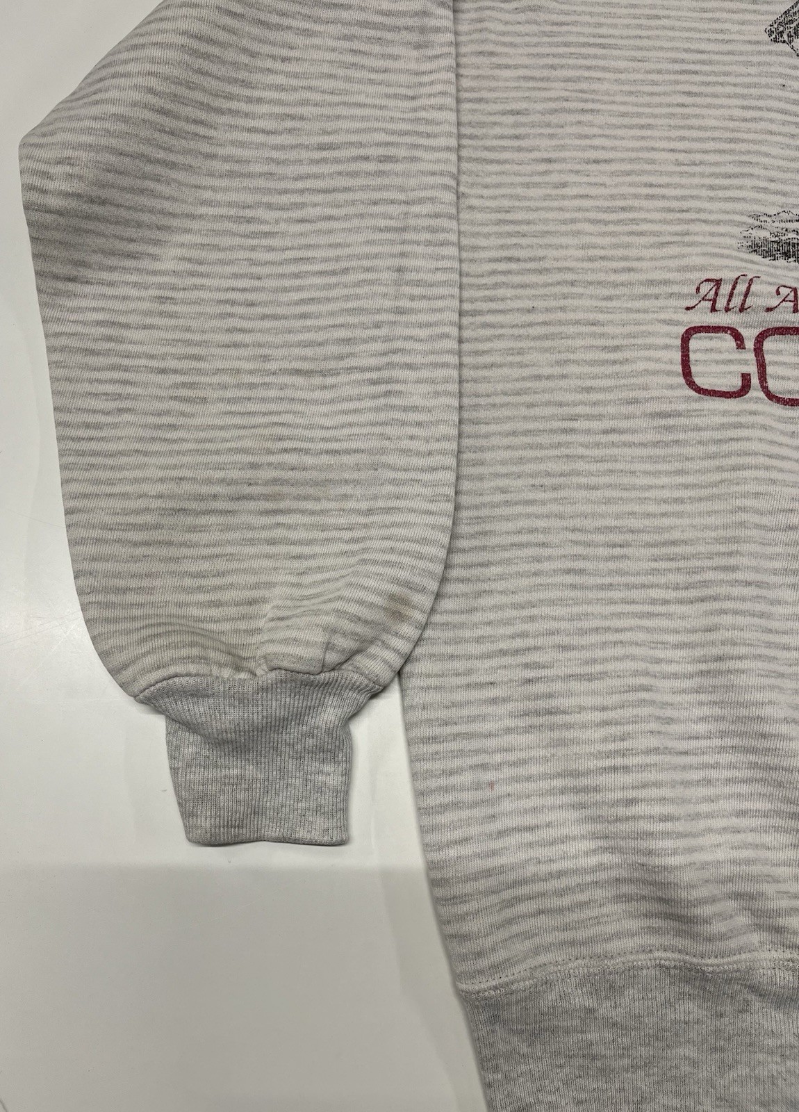 VTG Jerzees All American Quarter Horse Congress gray striped 80’s sweatshirt