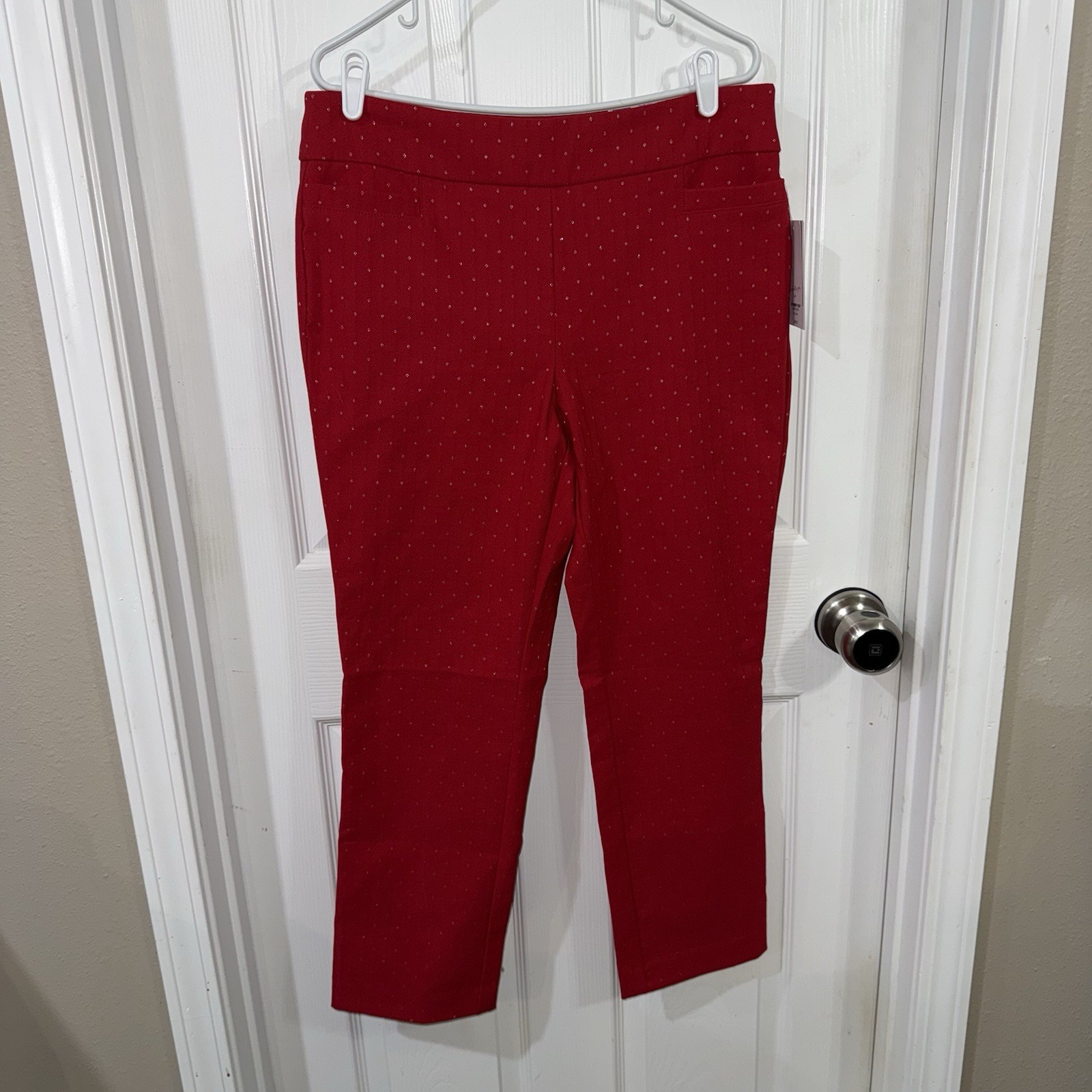 Kim Rogers Millenium Straight Women’s Size 12PS Red Pants New NWT