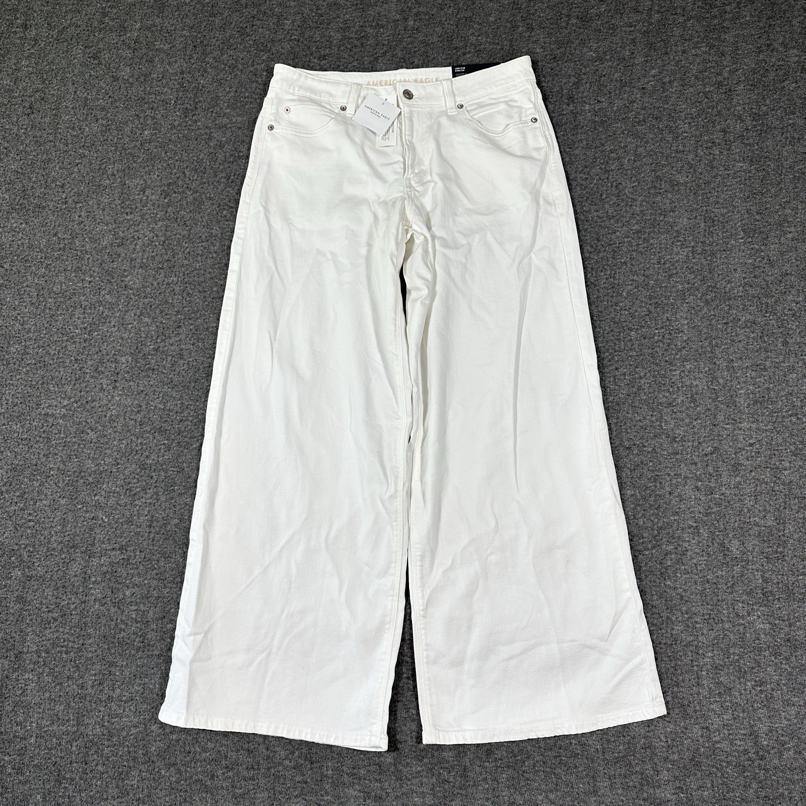 NWT American Eagle Dreamy Drape Strigid Low-Rise Baggy Ultra-Wide Leg Jean 6 Reg