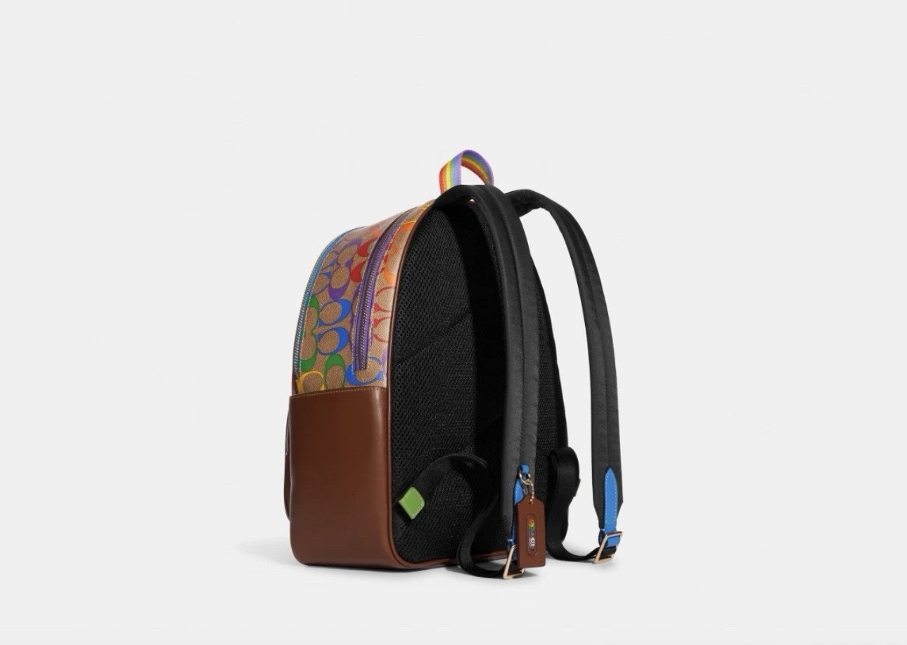 Coach CA140 Women’s Medium Backpack – Blue/Brown/Green