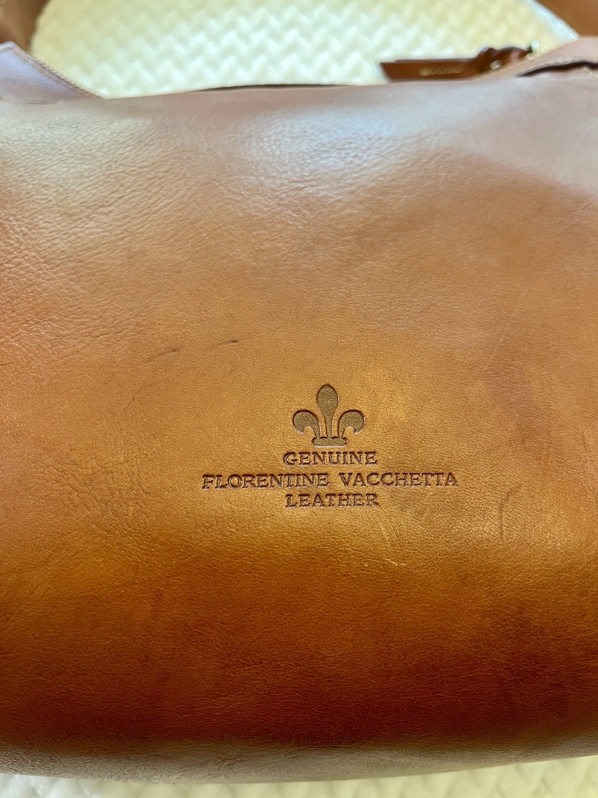 Dooney & Bourke Florentine Large Cassidy Hobo Bag Natural, Zip, Gold Hardware