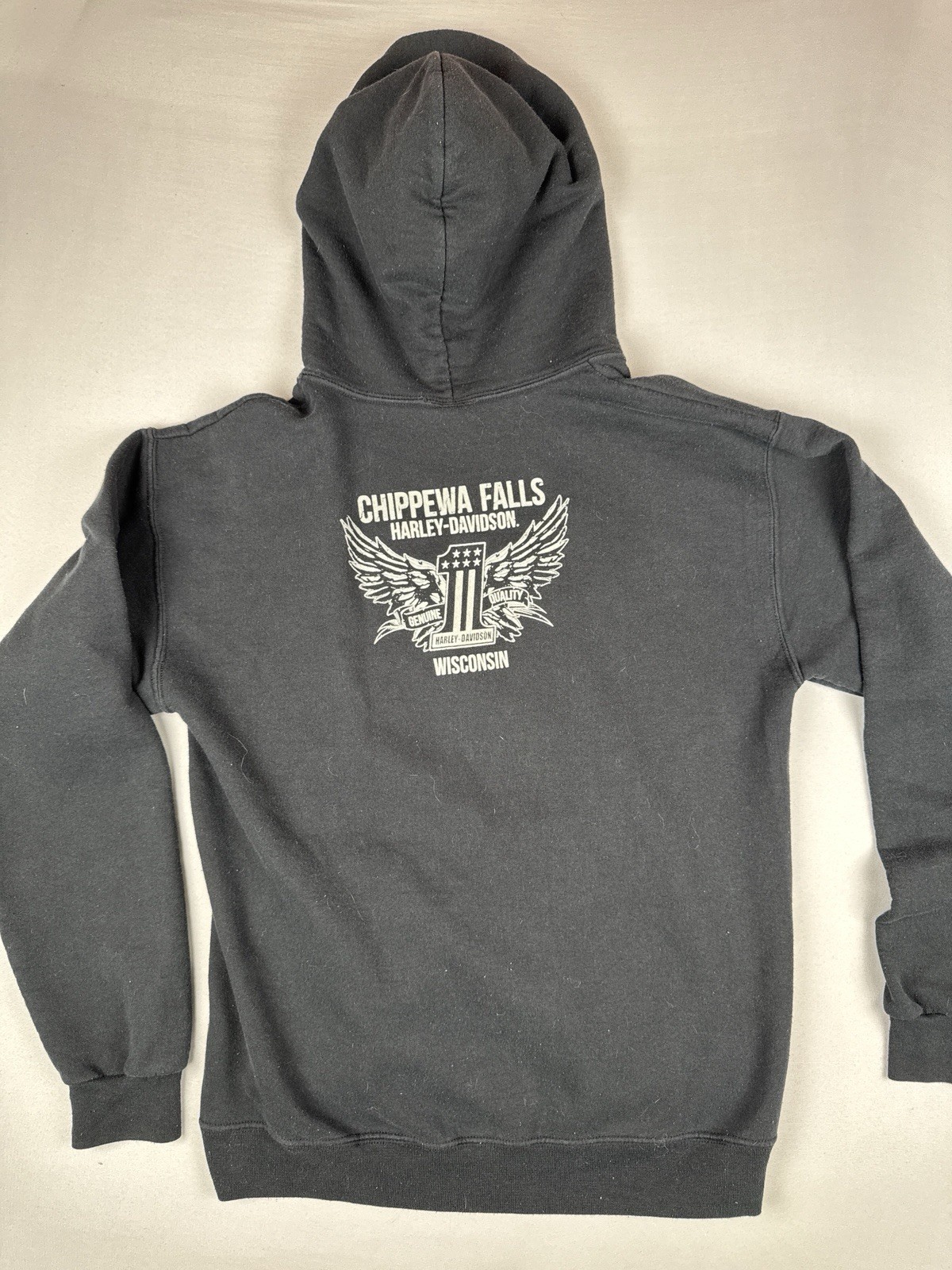 Harley Davidson Chippewa Falls Wisconsin Hoodie Eagle Biker Pullover M