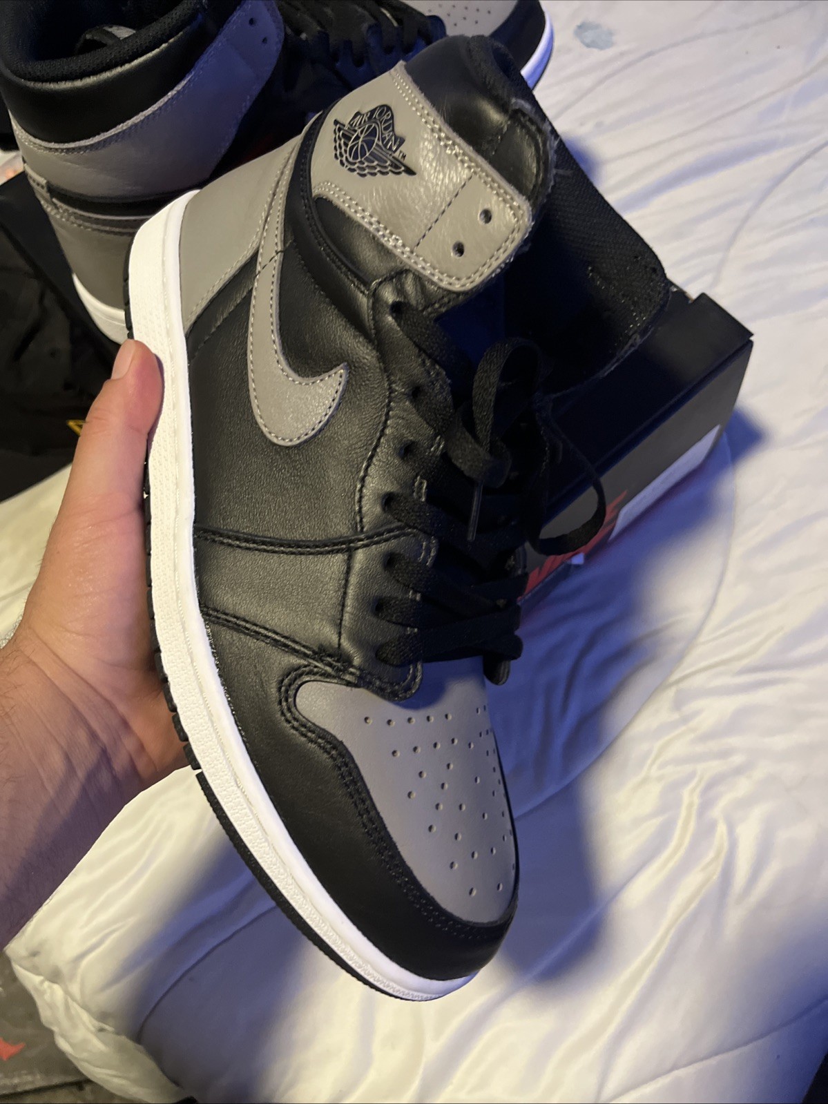 Air Jordan 1 Shadow 2018