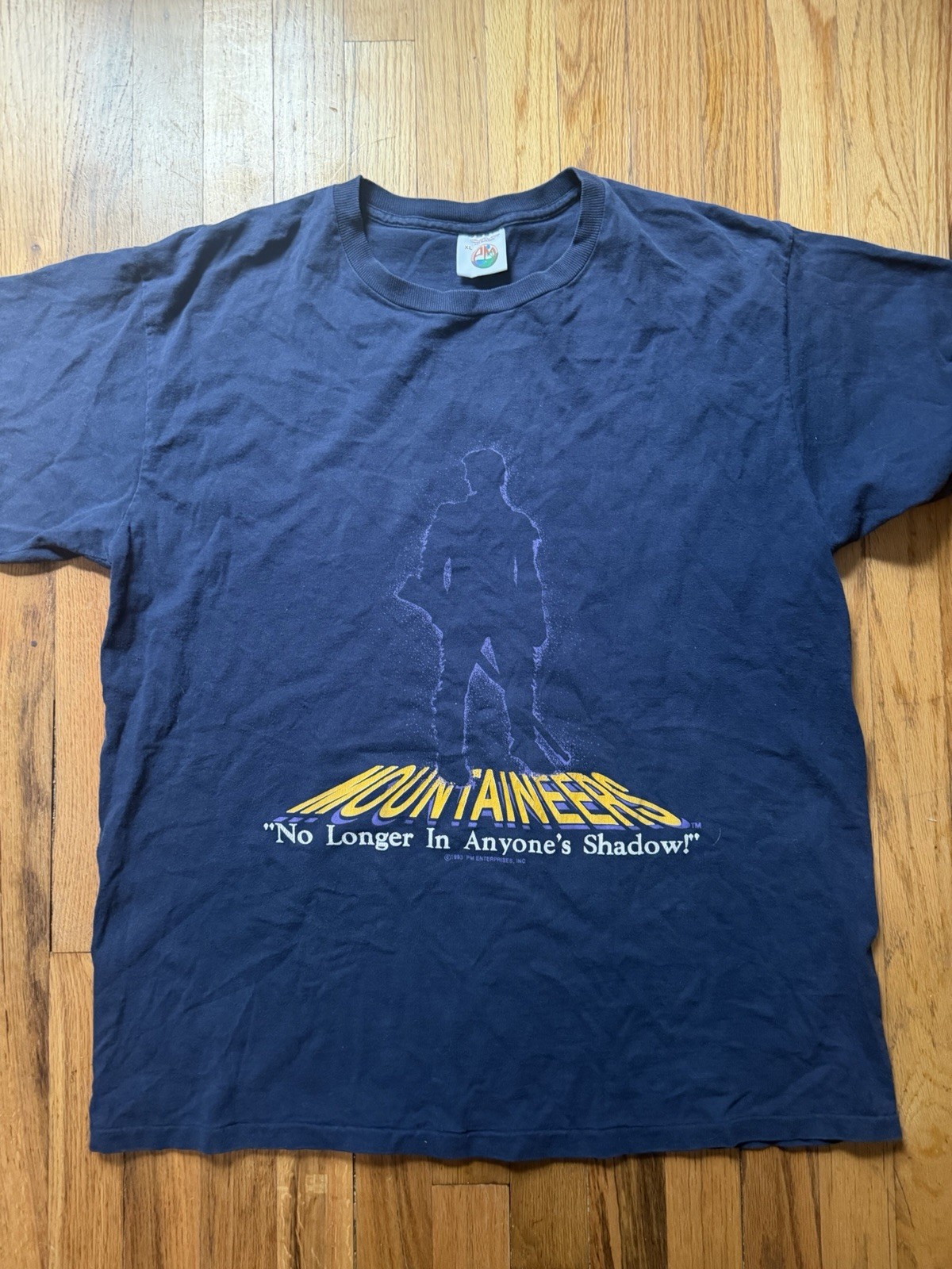 AM Mountaineers Navy Graphic Logo Crew Neck Short Sleeve T-Shirt Men XL 90s
