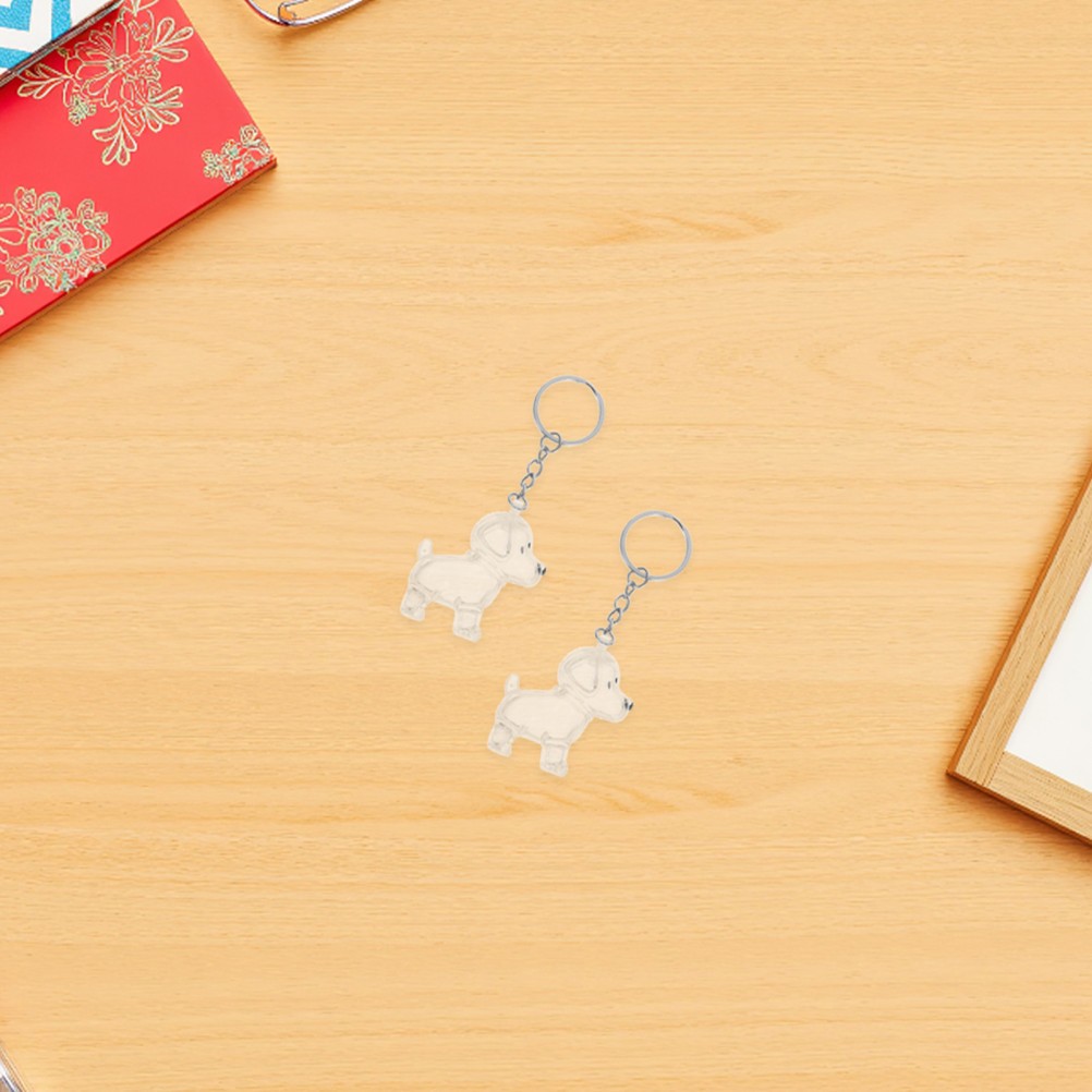 4Pcs Dog Transparent Lightweight Hair Storage Keychain Pet Memorial Souvenir