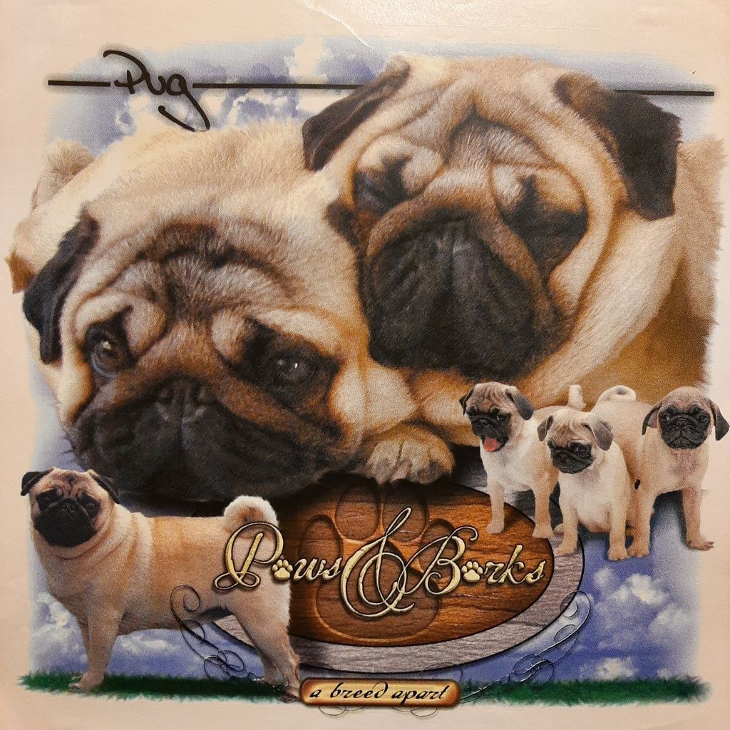 VINTAGE PAWS & BARKS PUGS WHITE SHIRT SIZE S-XL (FRONT PRINT)#3030
