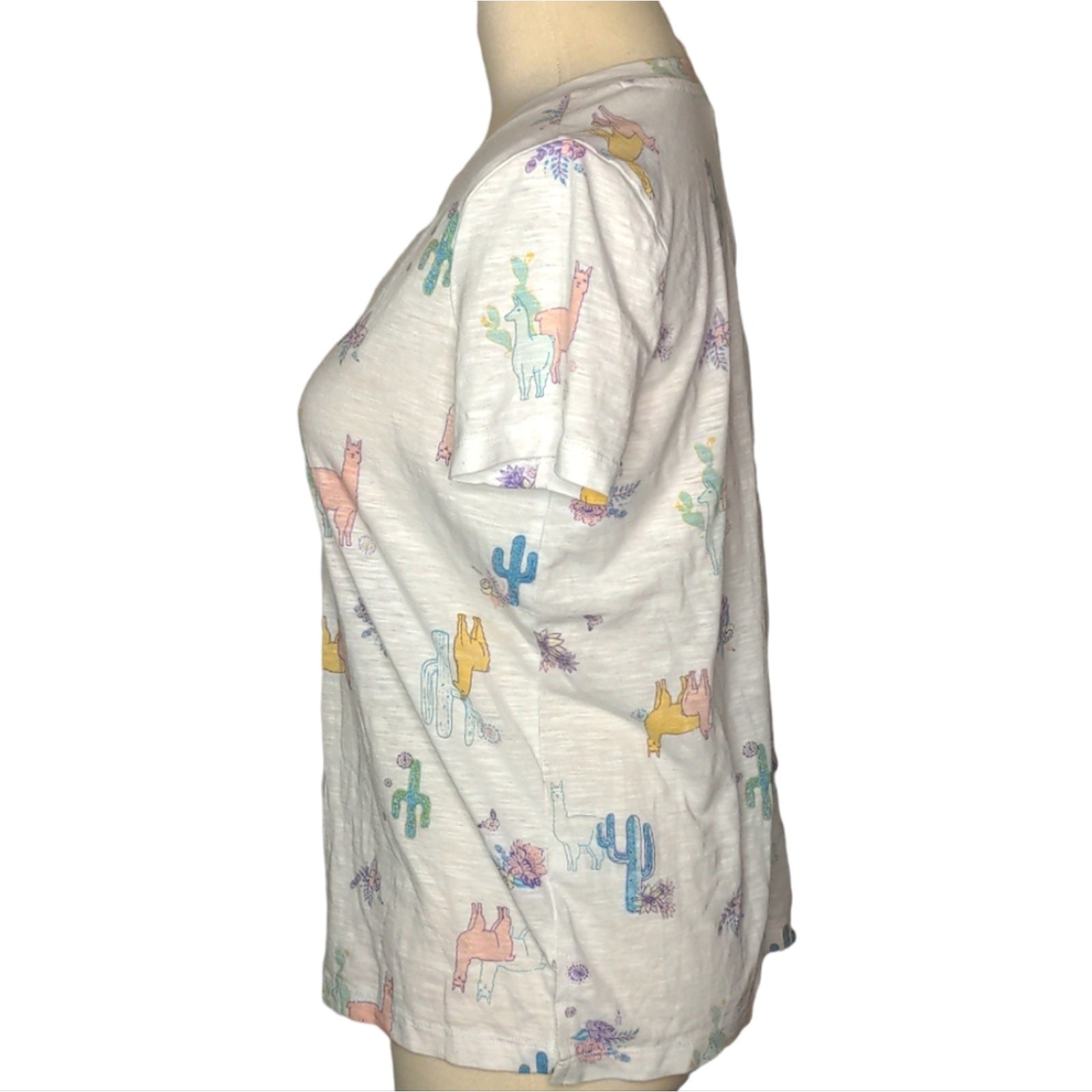 MUDD Roadtrip Tee White Llama Cactus Floral V-Neck Burnout Tee Small
