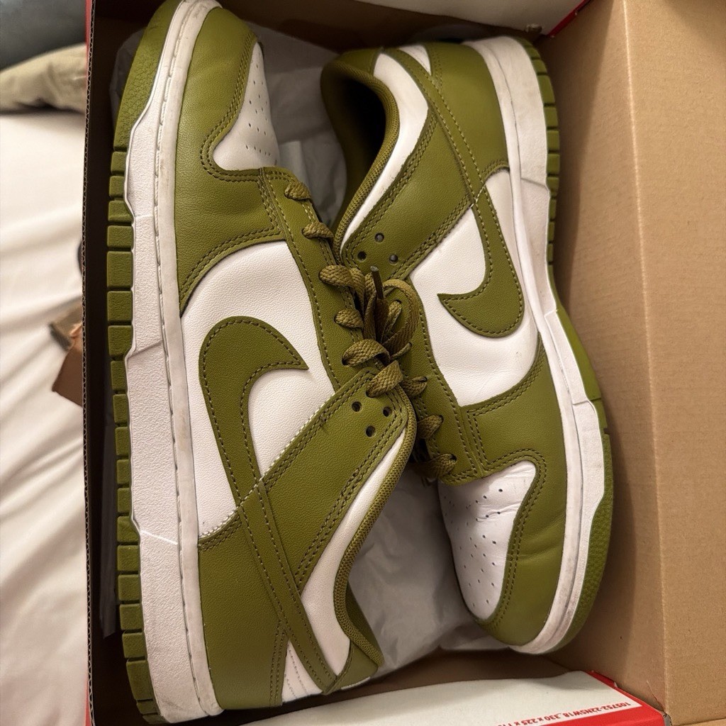 Nike Dunk Low Retro Green/White Colorblock Leather Low Top Sneaker DV0833-113