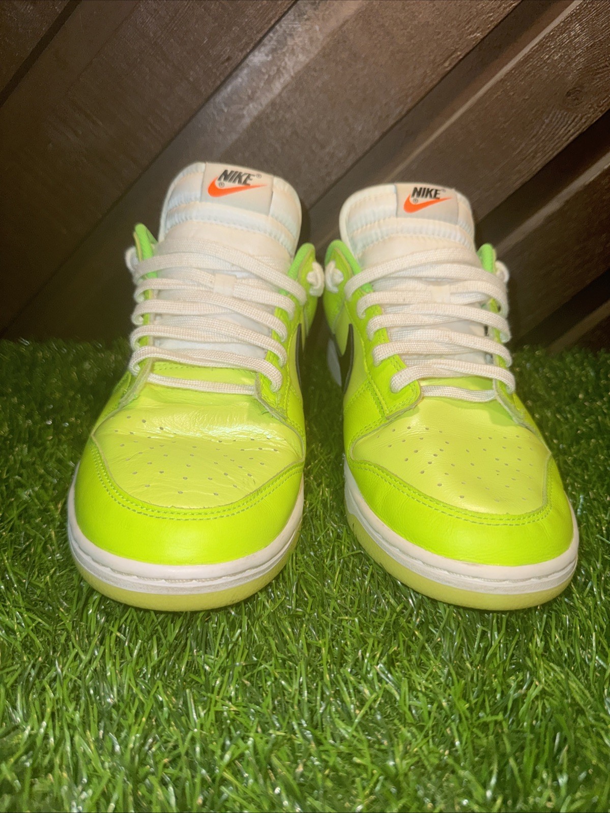 Size 10 – Nike Dunk SE Low Volt