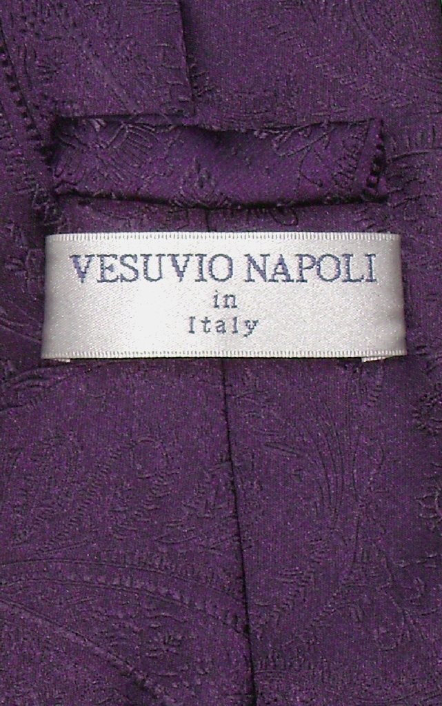 Vesuvio Napoli NeckTie DARK PURPLE Color Paisley Design Mens Neck Tie