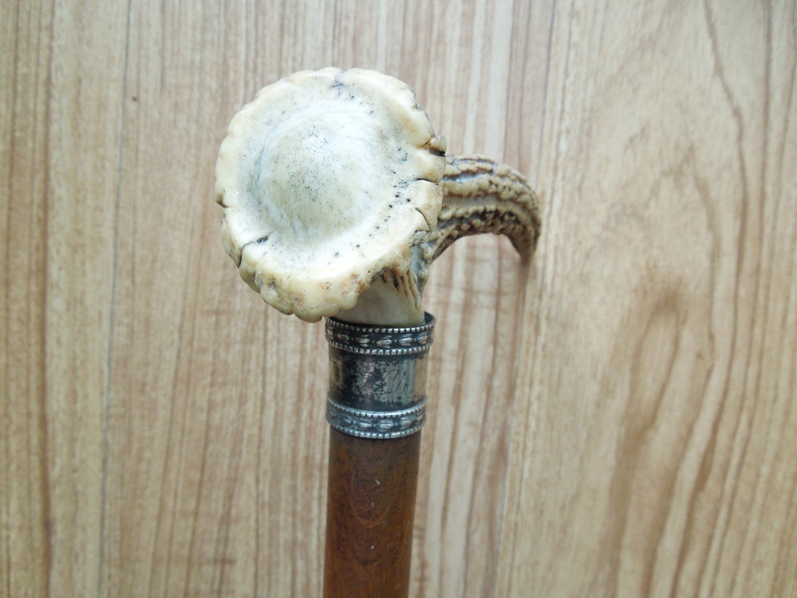 VINTAGE Antler Stag Horn Handle Cane Walking Stick Silver Collar 35″ length