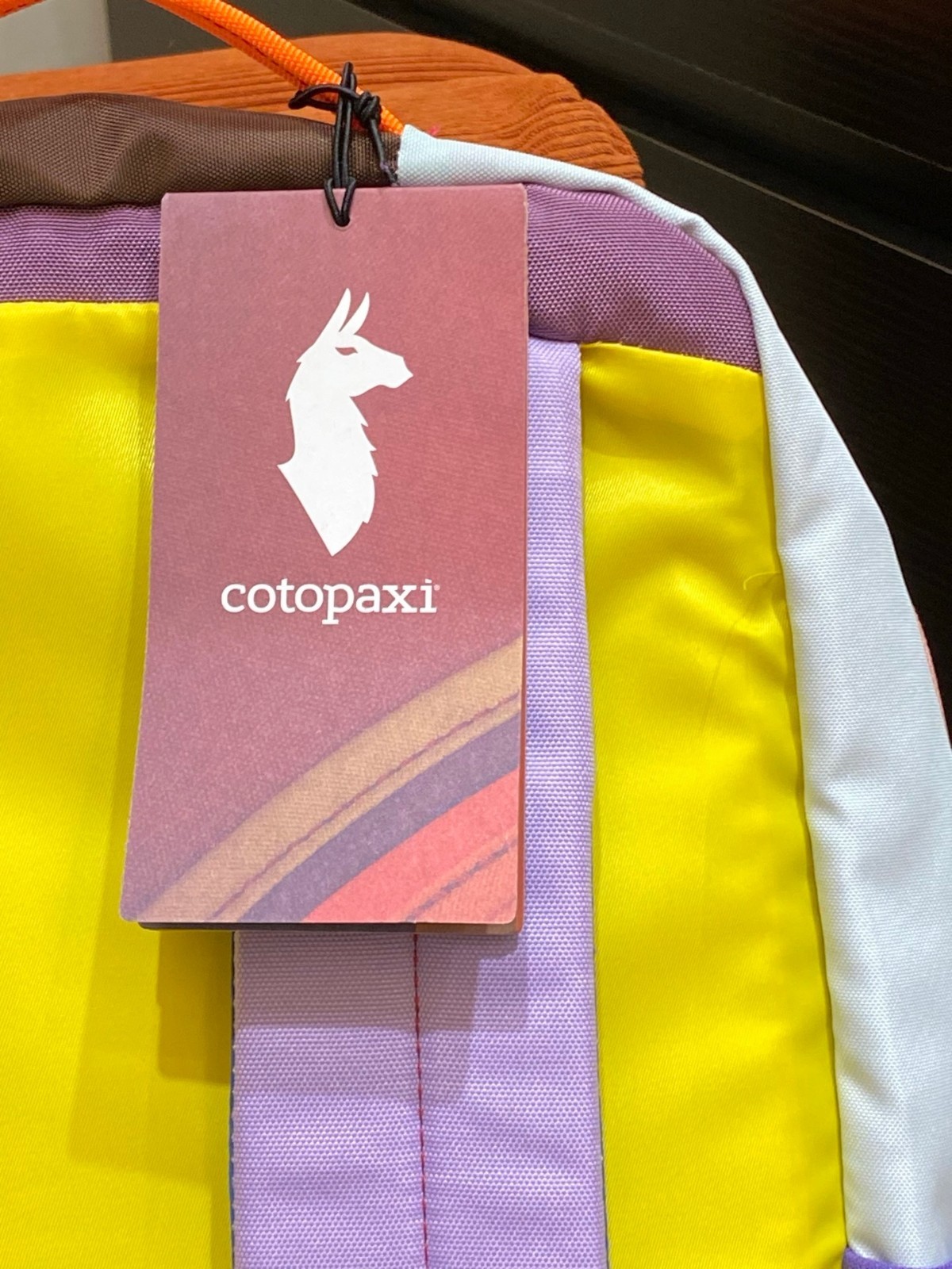 Cotopaxi Blue & Pink Dopamine Color-Block Alpaca Backpack 26x15x43cm